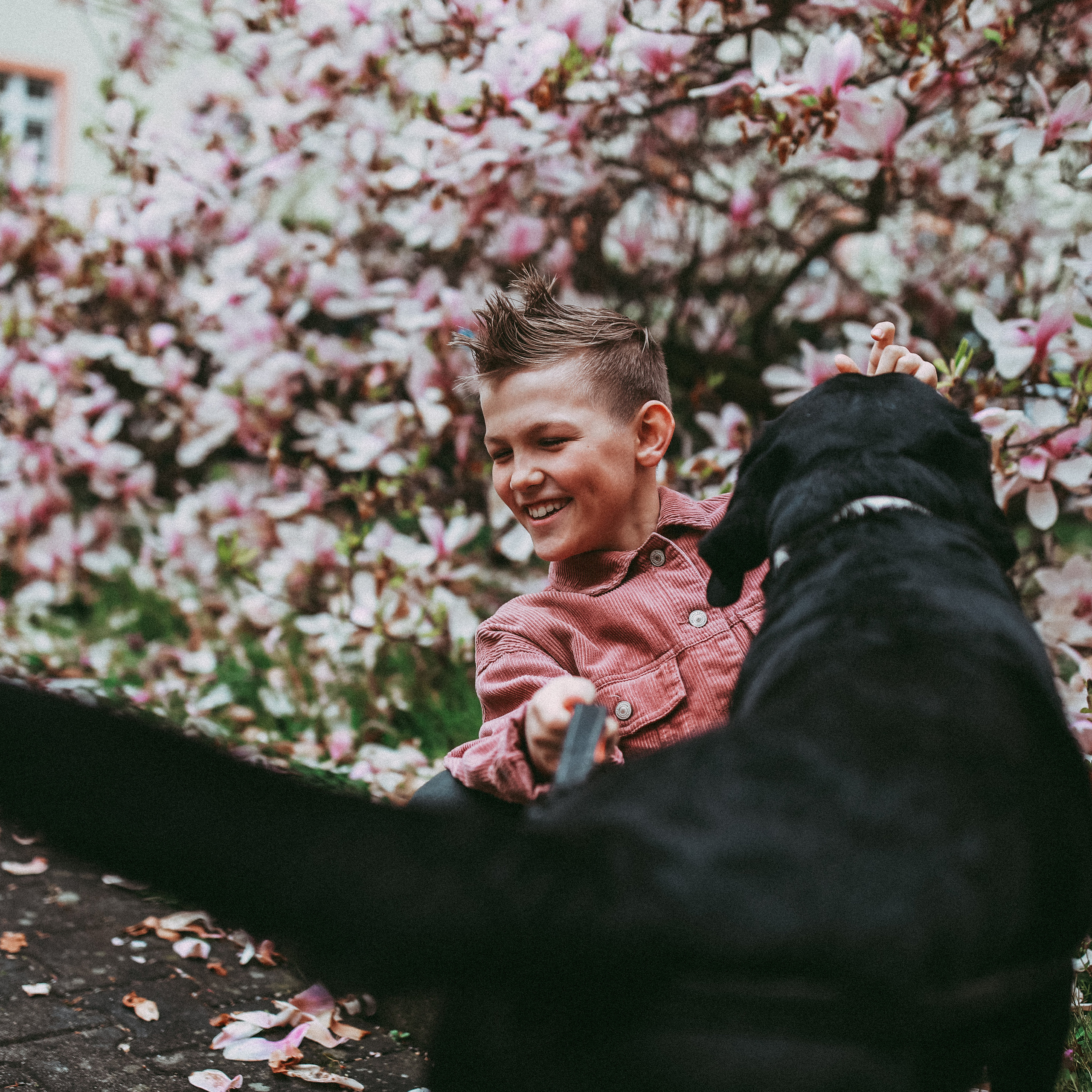 Магнолії в Дрездені. Наталя Твердохліб - дитячий та сімейний фотограф в Дрездені, Німеччина