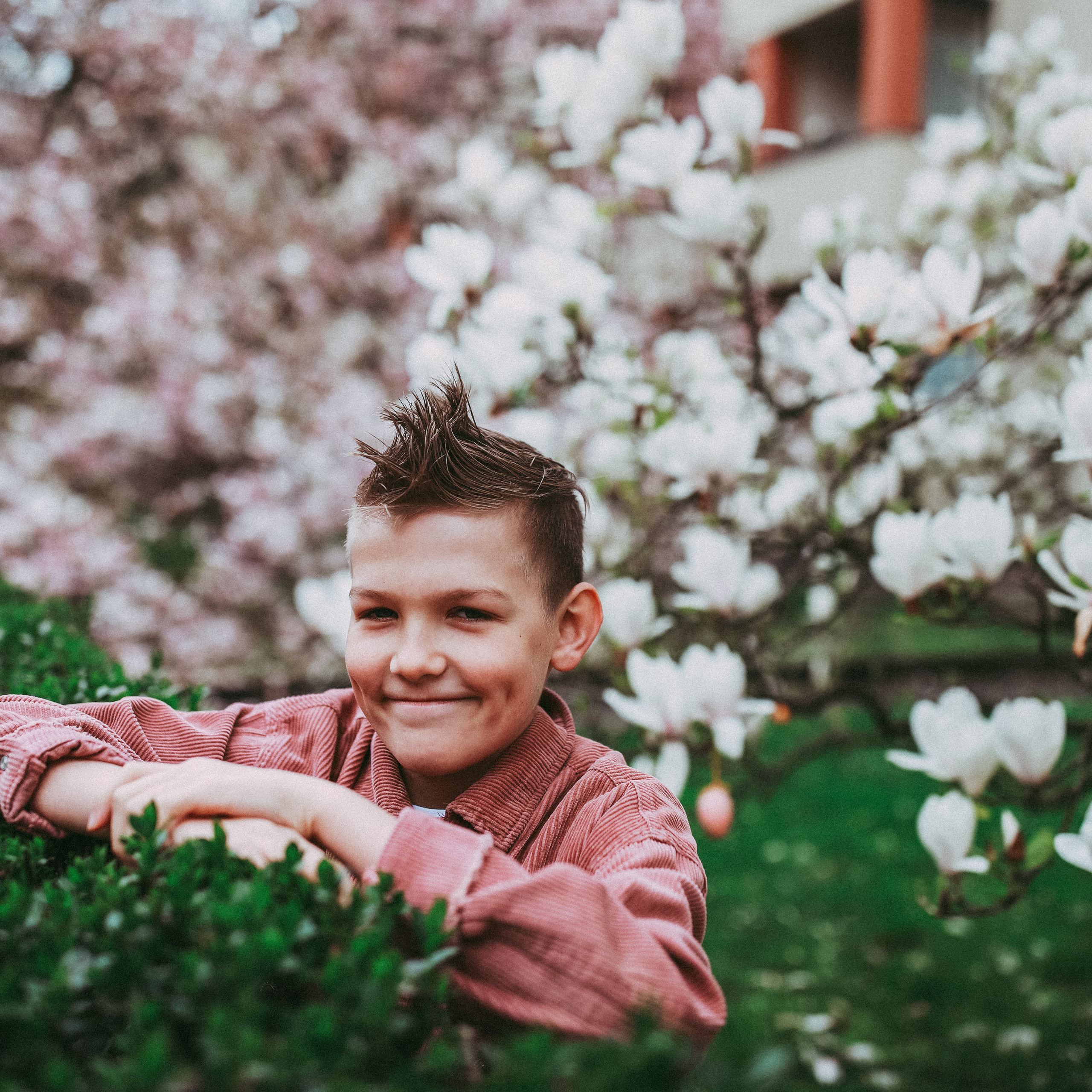 Магнолії в Дрездені. Наталя Твердохліб - дитячий та сімейний фотограф в Дрездені, Німеччина