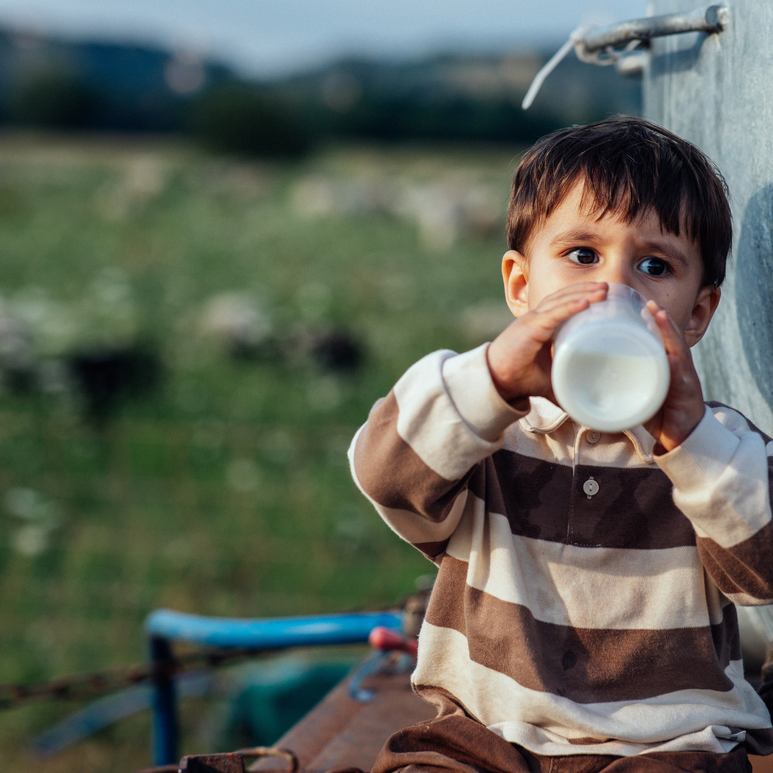 Elias. Natalia Tverdokhlib ist eine Kinder- und Familienfotografin in Dresden