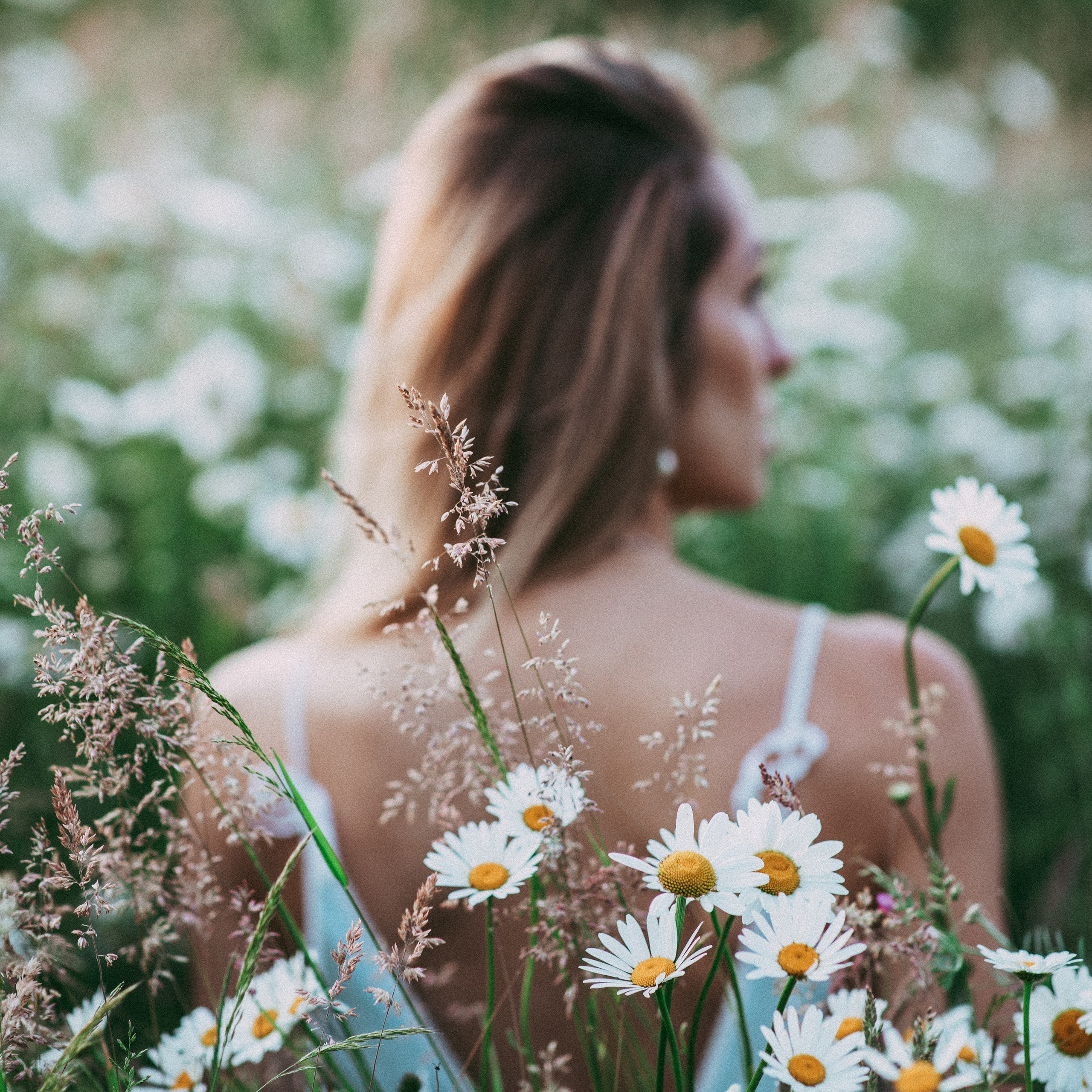 Ромашки. Наталя Твердохліб - дитячий та сімейний фотограф в Дрездені, Німеччина