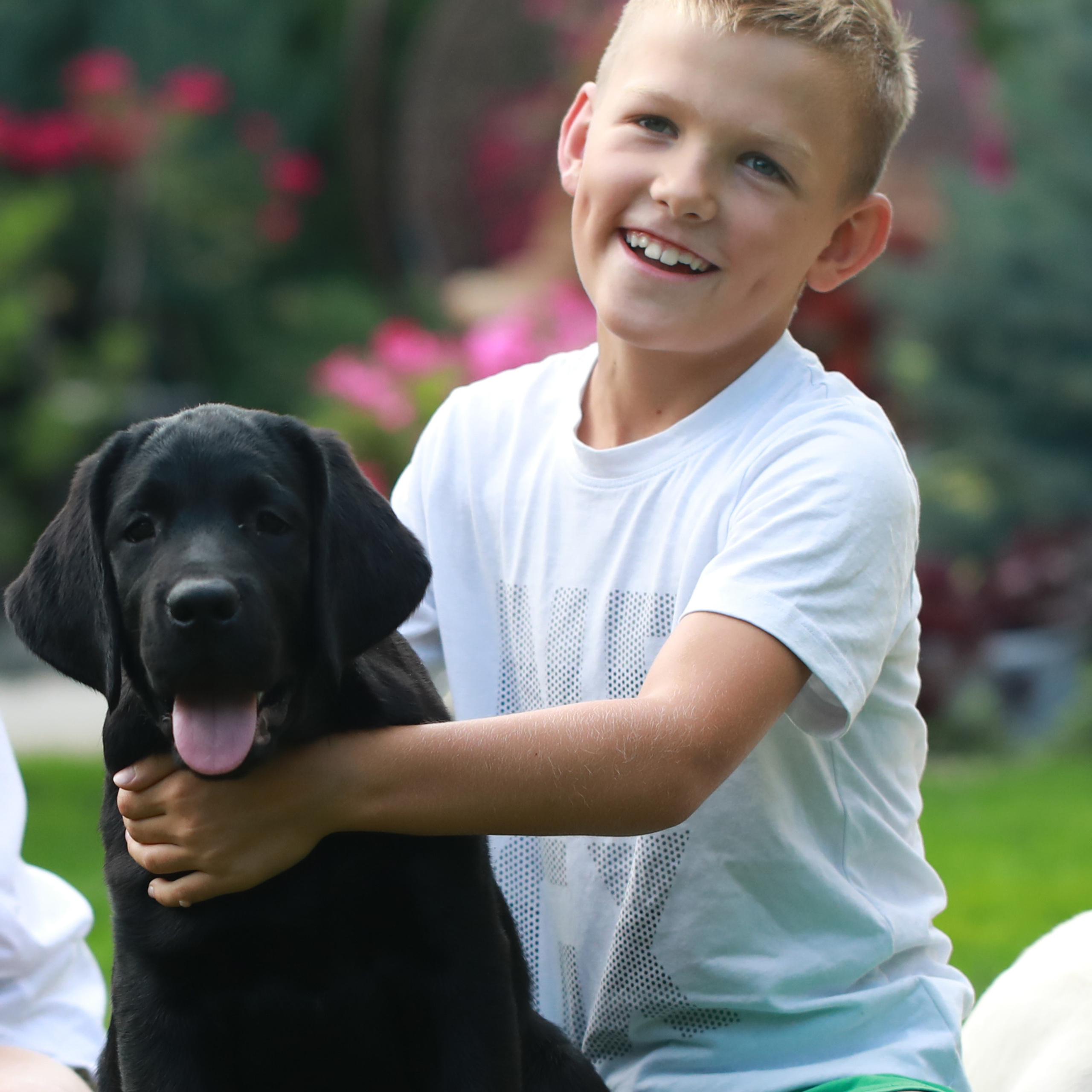Маленькі лабрадорчики. Наталя Твердохліб - дитячий та сімейний фотограф в Дрездені, Німеччина