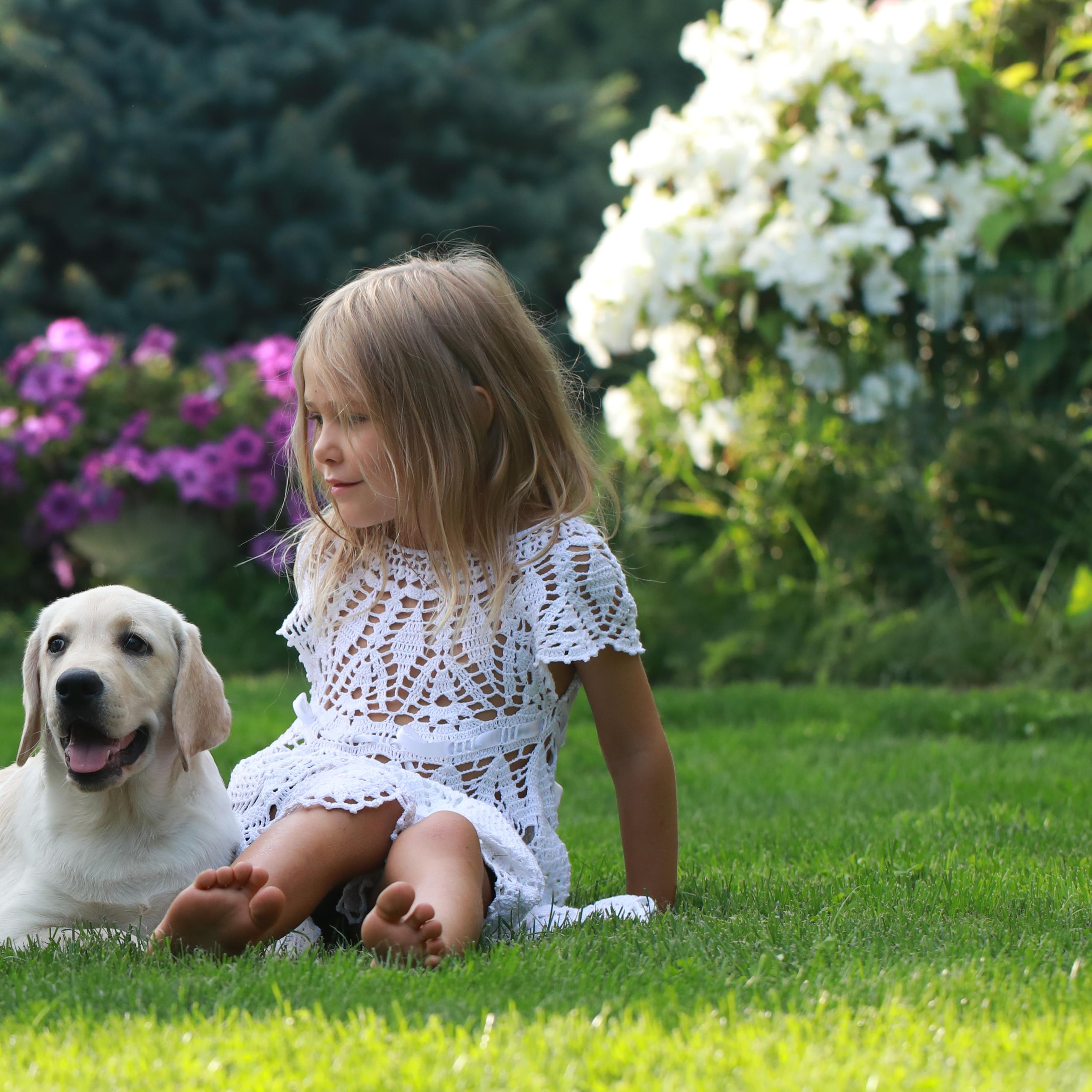 Маленькі лабрадорчики. Наталя Твердохліб - дитячий та сімейний фотограф в Дрездені, Німеччина