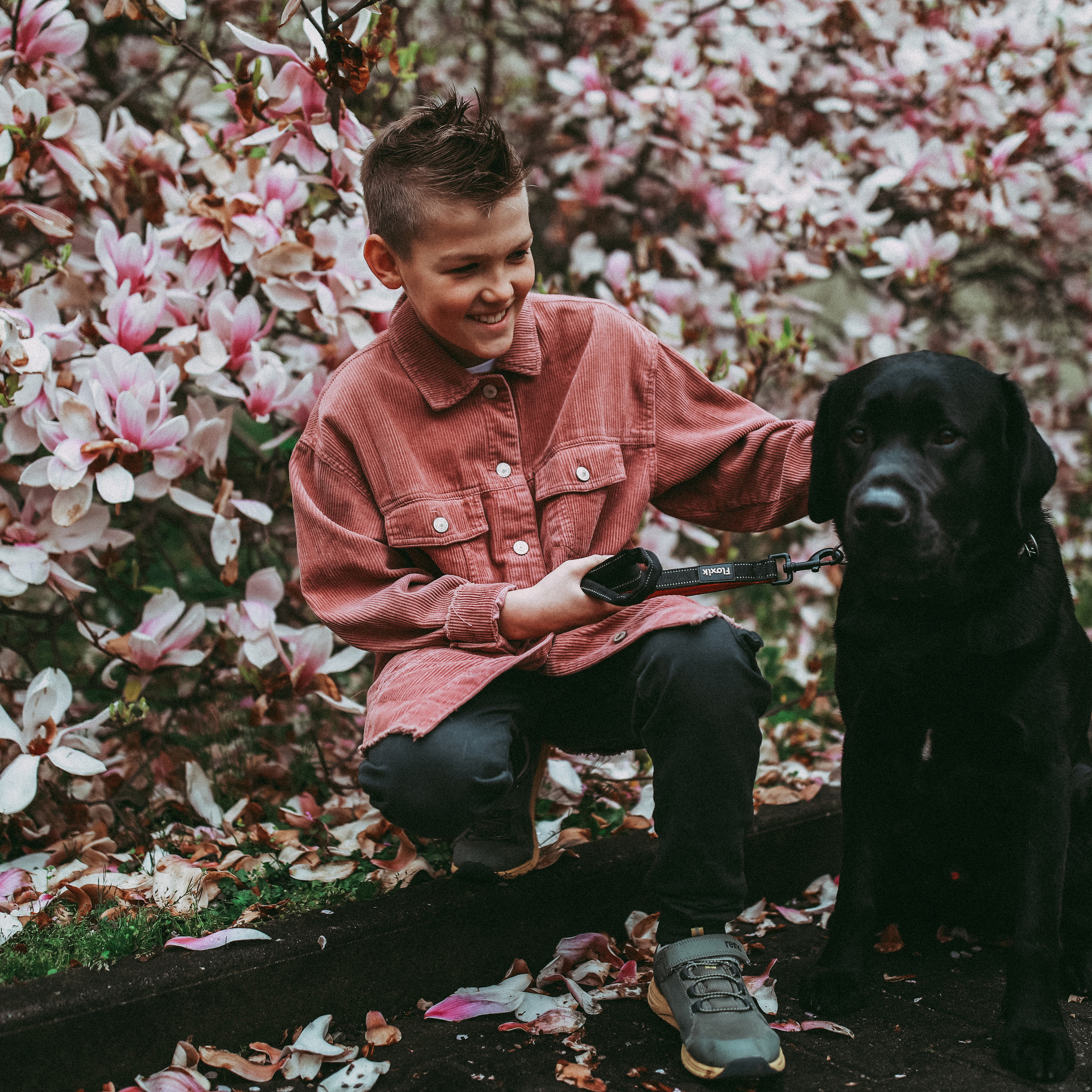 Магнолії в Дрездені. Наталя Твердохліб - дитячий та сімейний фотограф в Дрездені, Німеччина
