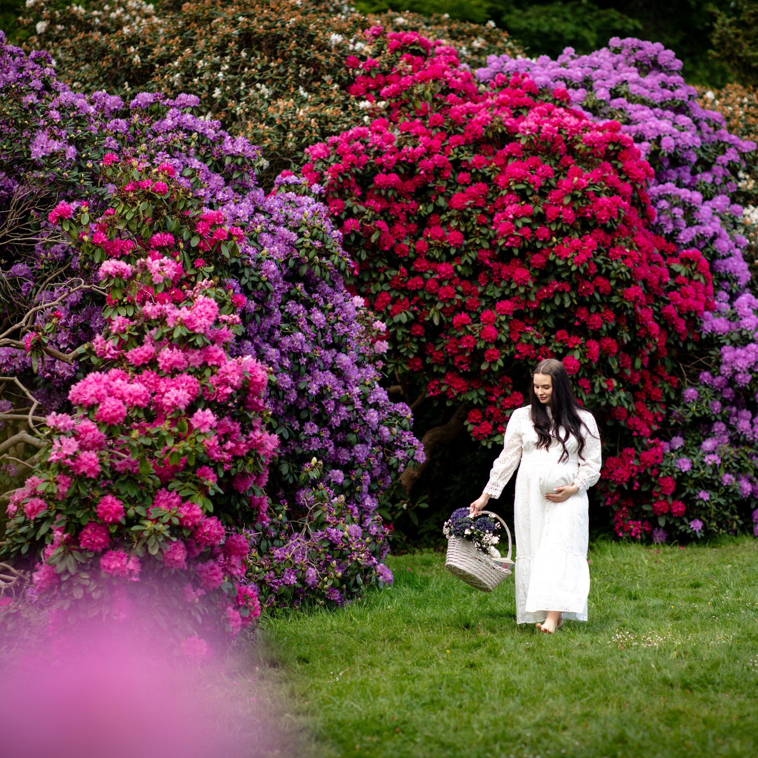 Dariia&Hamza. Наталя Твердохліб - дитячий та сімейний фотограф в Дрездені, Німеччина