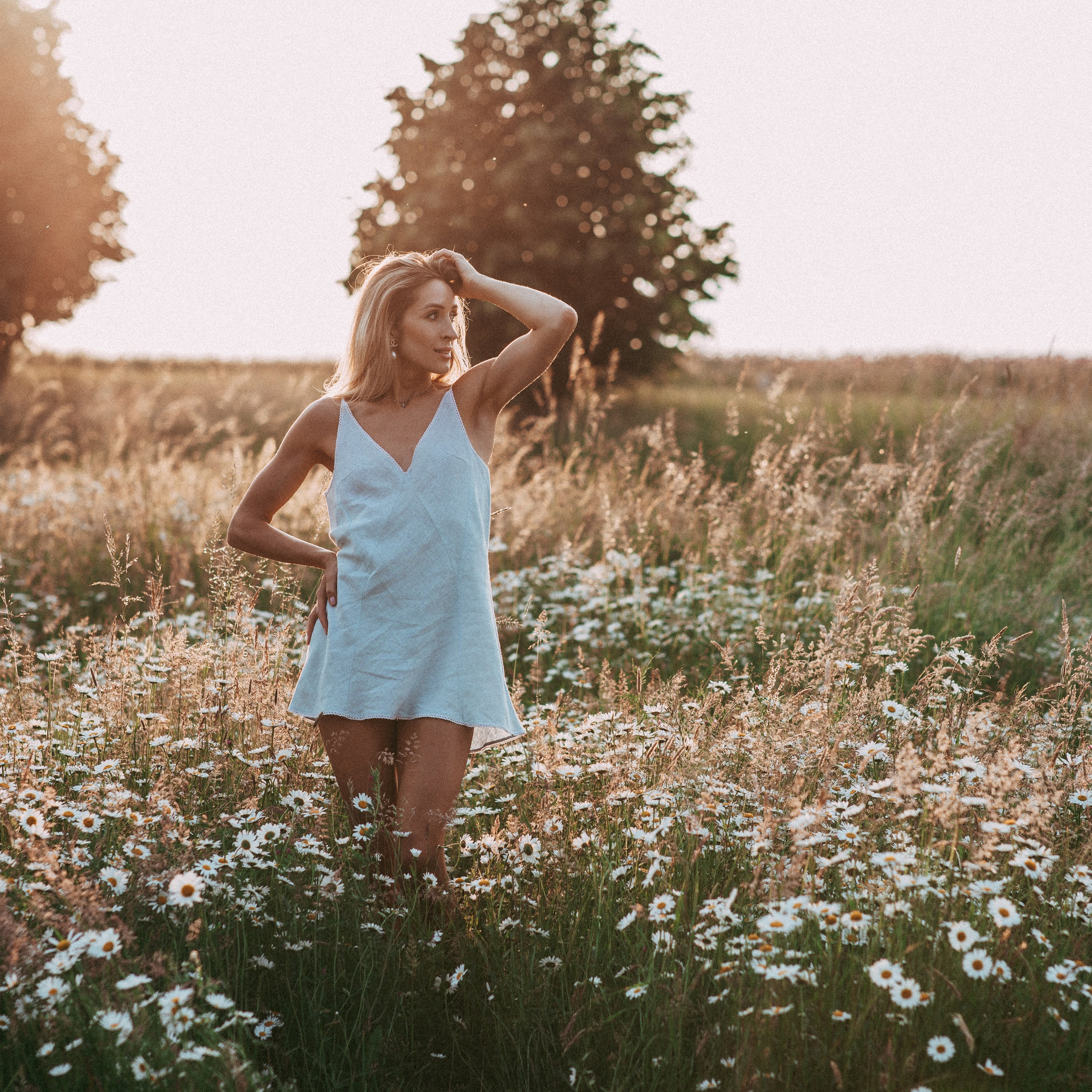 Ромашки. Наталя Твердохліб - дитячий та сімейний фотограф в Дрездені, Німеччина