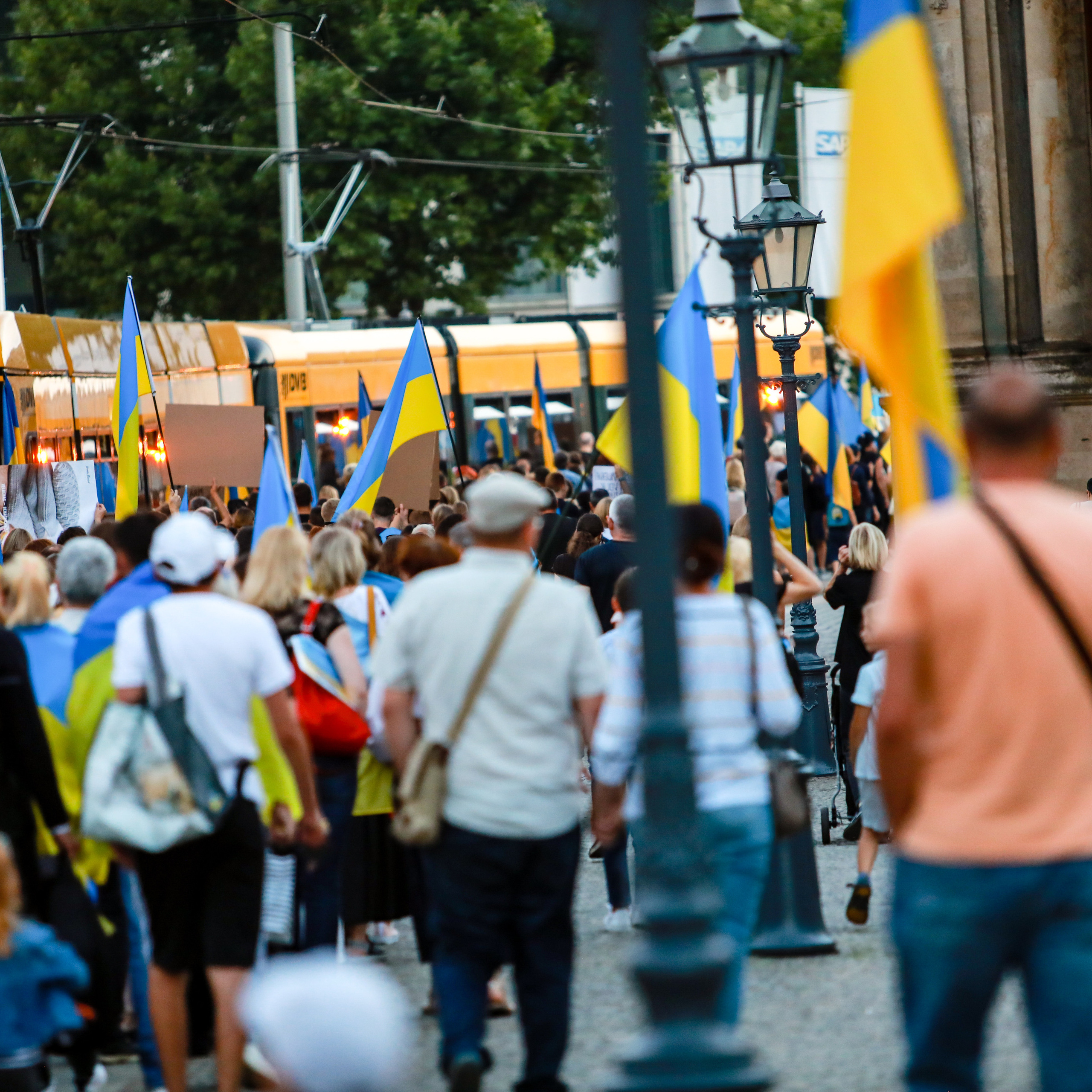 Дрезден мітинг. Наталя Твердохліб - дитячий та сімейний фотограф в Дрездені, Німеччина