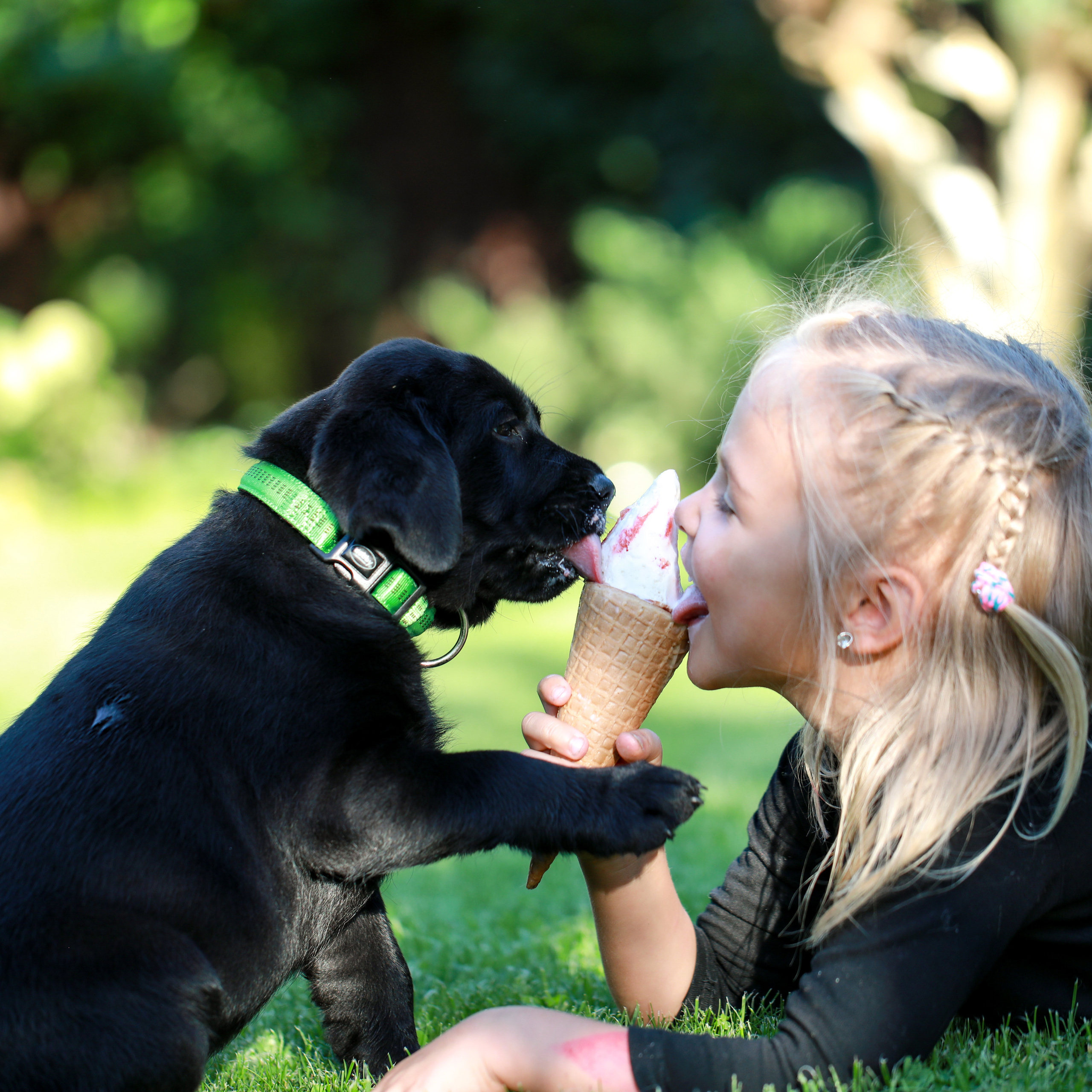 Цуценята. Наталя Твердохліб - дитячий та сімейний фотограф в Дрездені, Німеччина