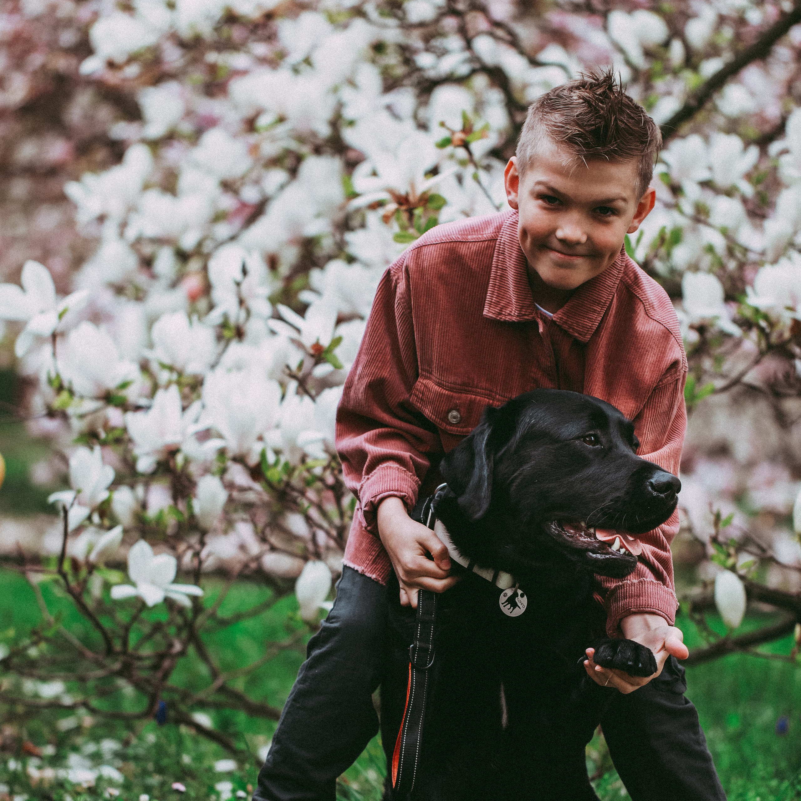 Магнолії в Дрездені. Наталя Твердохліб - дитячий та сімейний фотограф в Дрездені, Німеччина