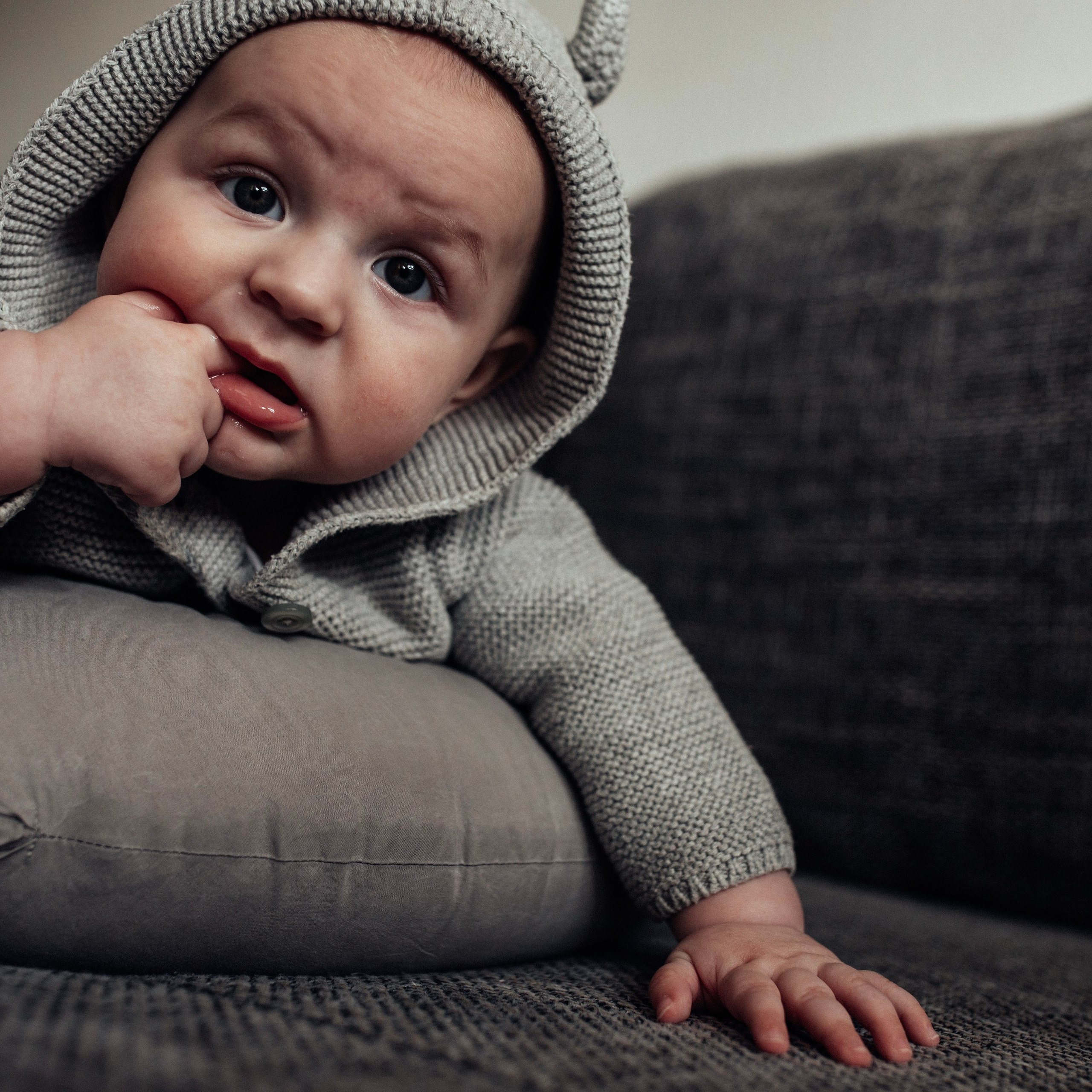 Адам. Наталя Твердохліб - дитячий та сімейний фотограф в Дрездені, Німеччина
