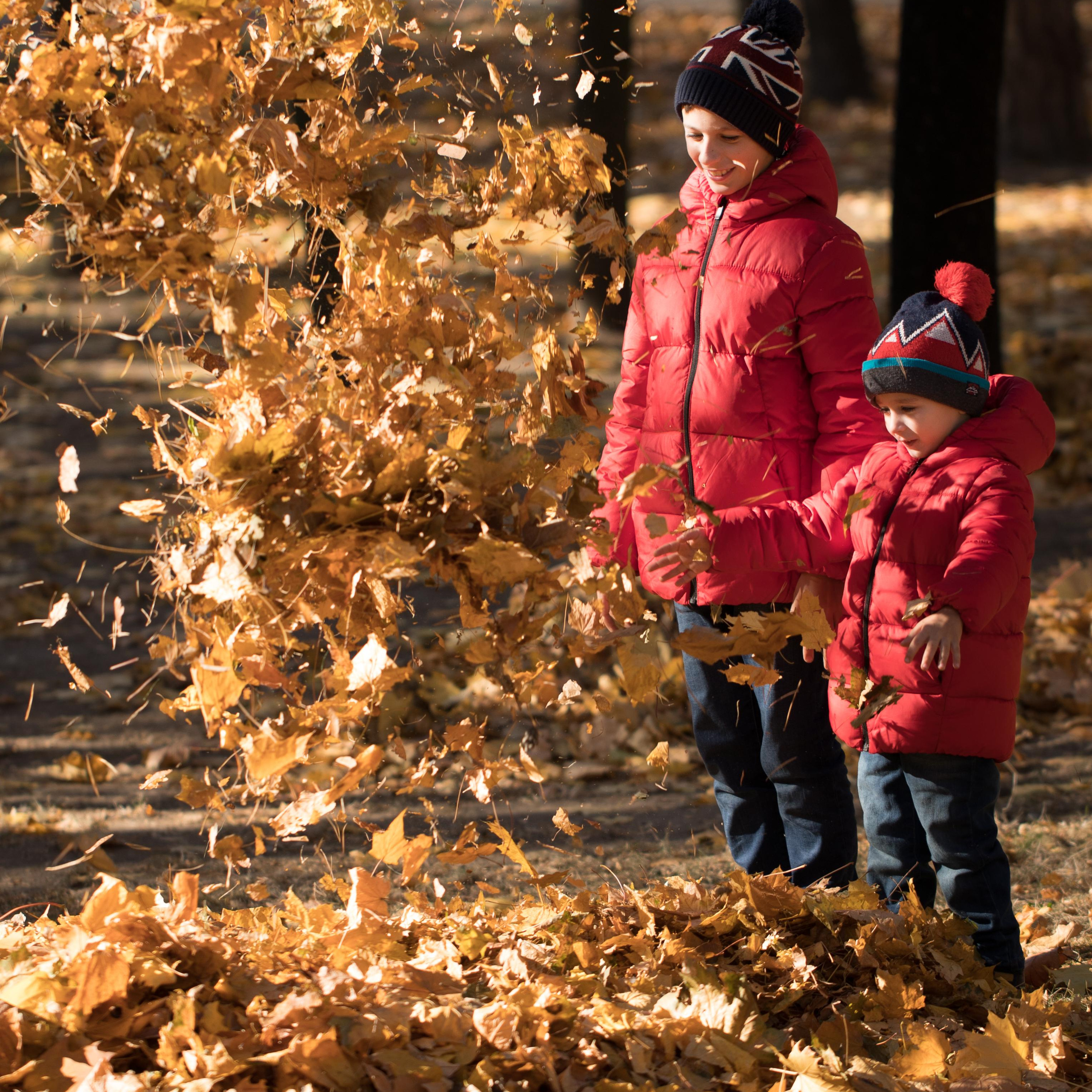 Саша и Илья. Наталя Твердохліб - дитячий та сімейний фотограф в Дрездені, Німеччина