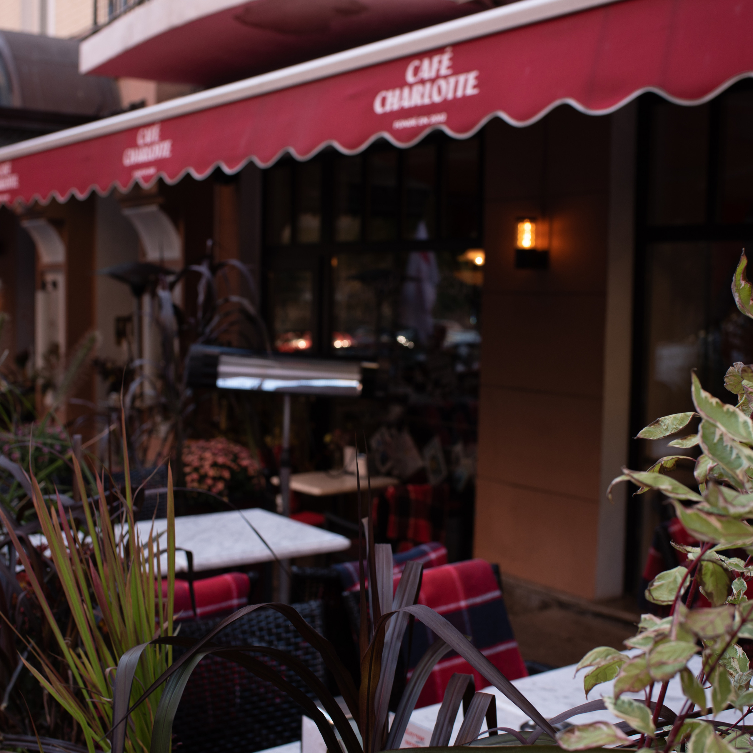 Відгуки. Антон лімов фотограф київ