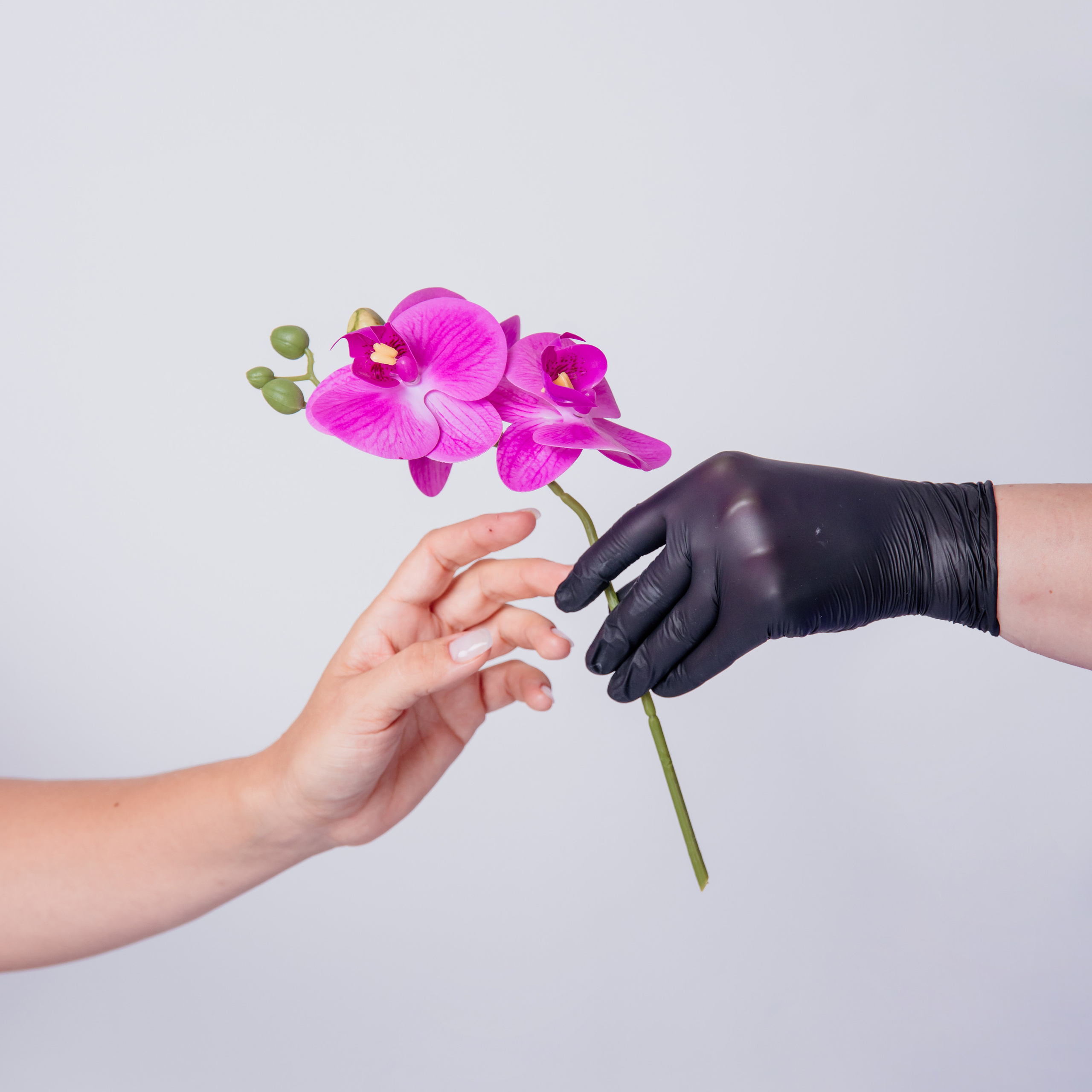 Photoshoot for the master of sugaring and depilation. צלמת ירושלים תל אביב ישראל