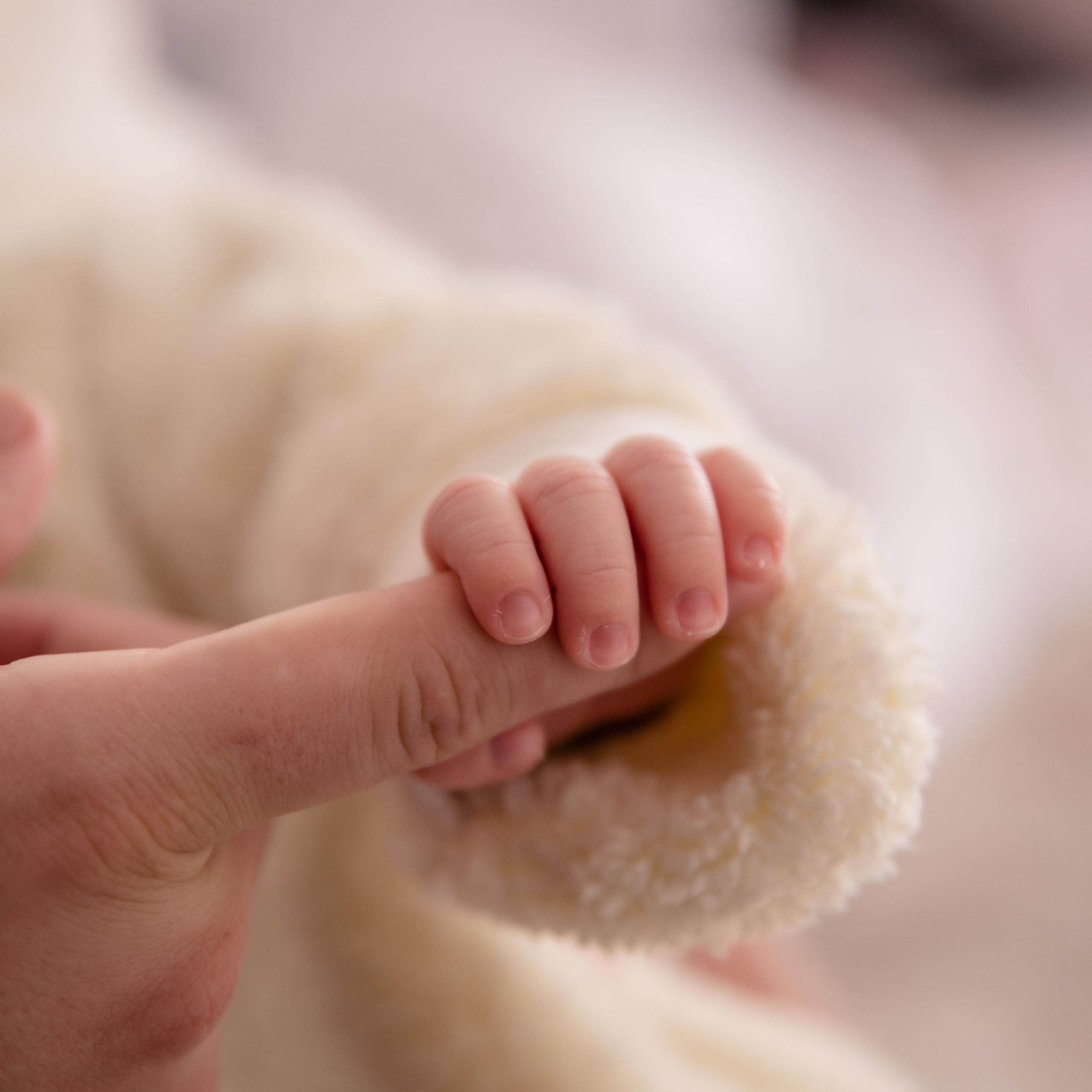 Семейный фотограф Тель-Авив. Люба Тернавская. Фотограф Иерусалим. Фотограф Израиль