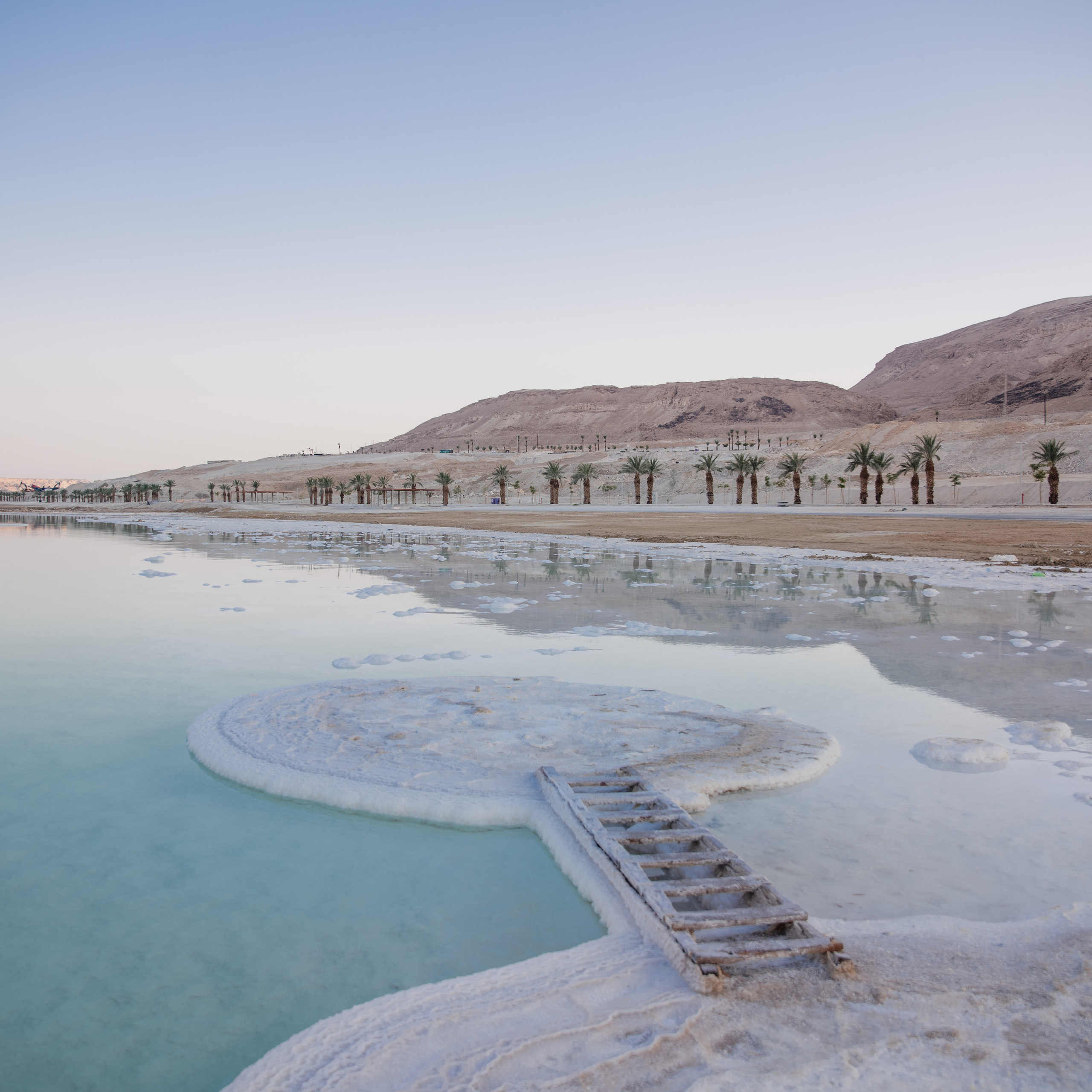 Ira & Grisha. צלמת ירושלים תל אביב ישראל