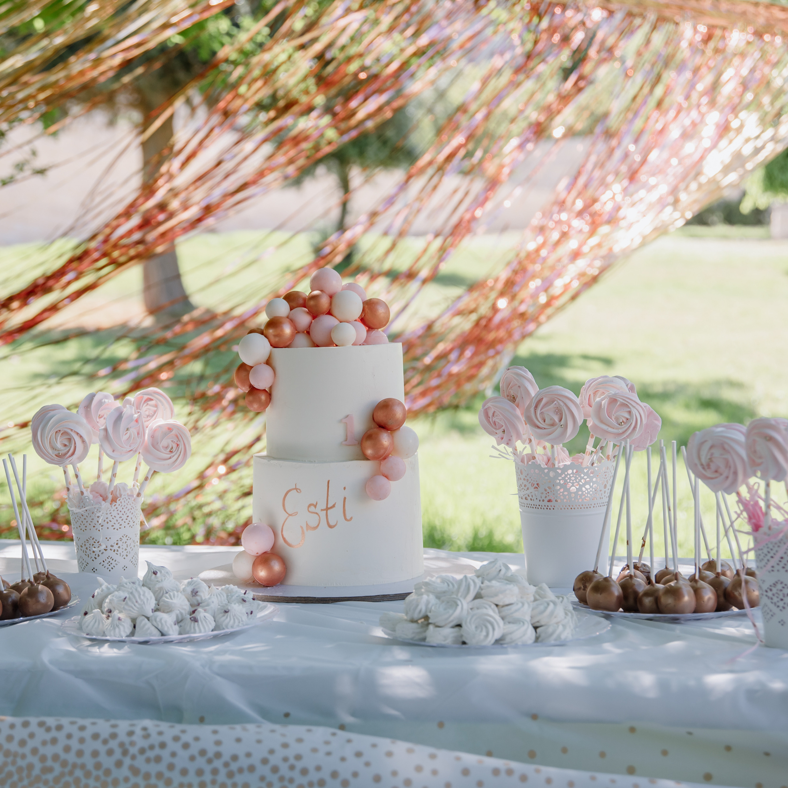 Esti’s birthday 1 year. Photographer in Israel Luba Ternavskaya