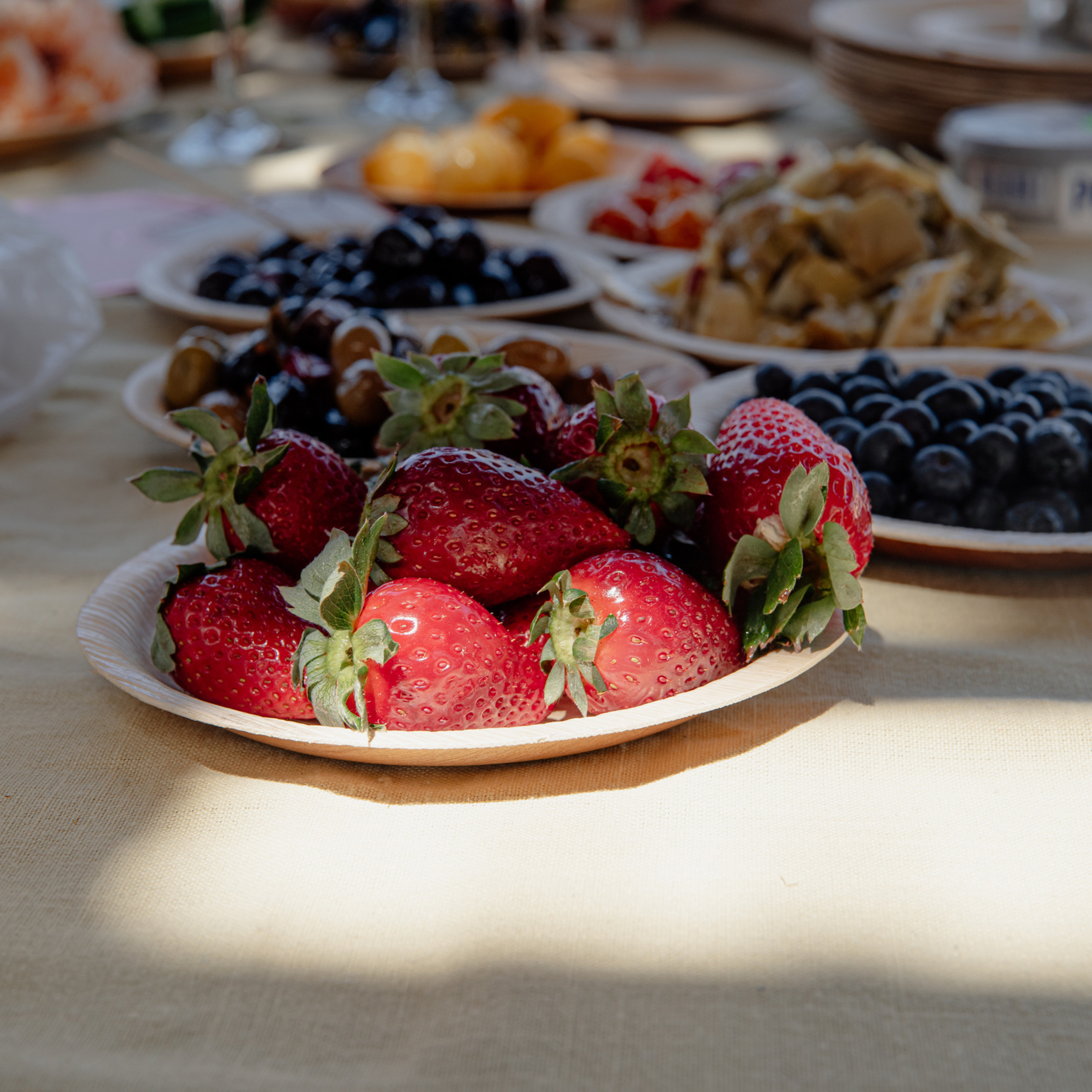 Reviews. Photographer in Israel Luba Ternavskaya