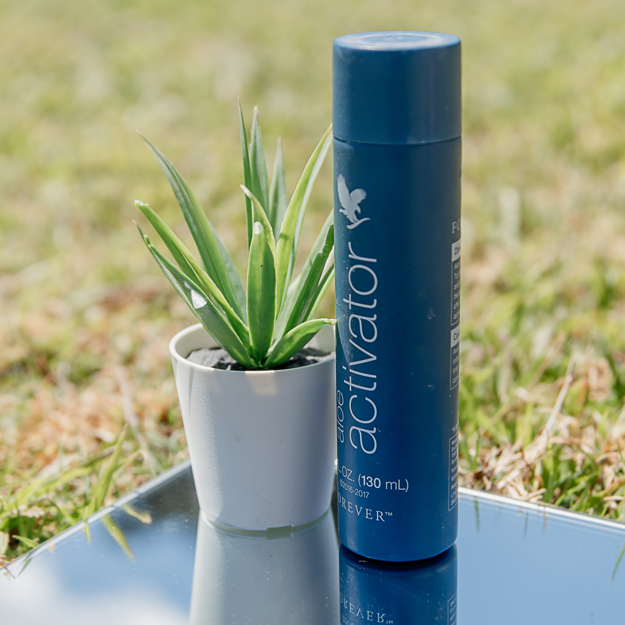 Shooting for a business entrepreneur. צלמת ירושלים תל אביב ישראל