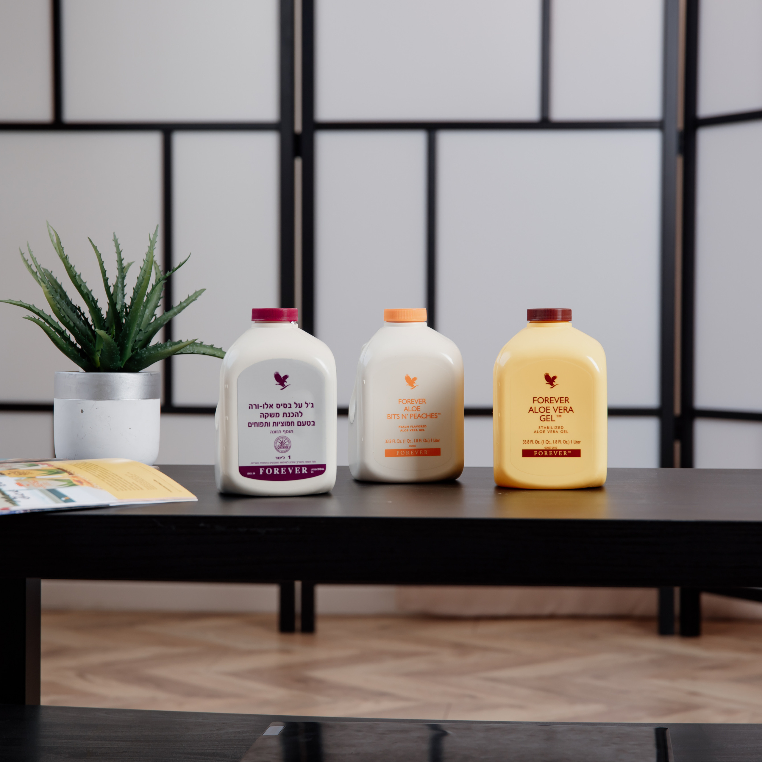 Shooting for a business entrepreneur. Люба Тернавская. Фотограф Иерусалим. Фотограф Израиль