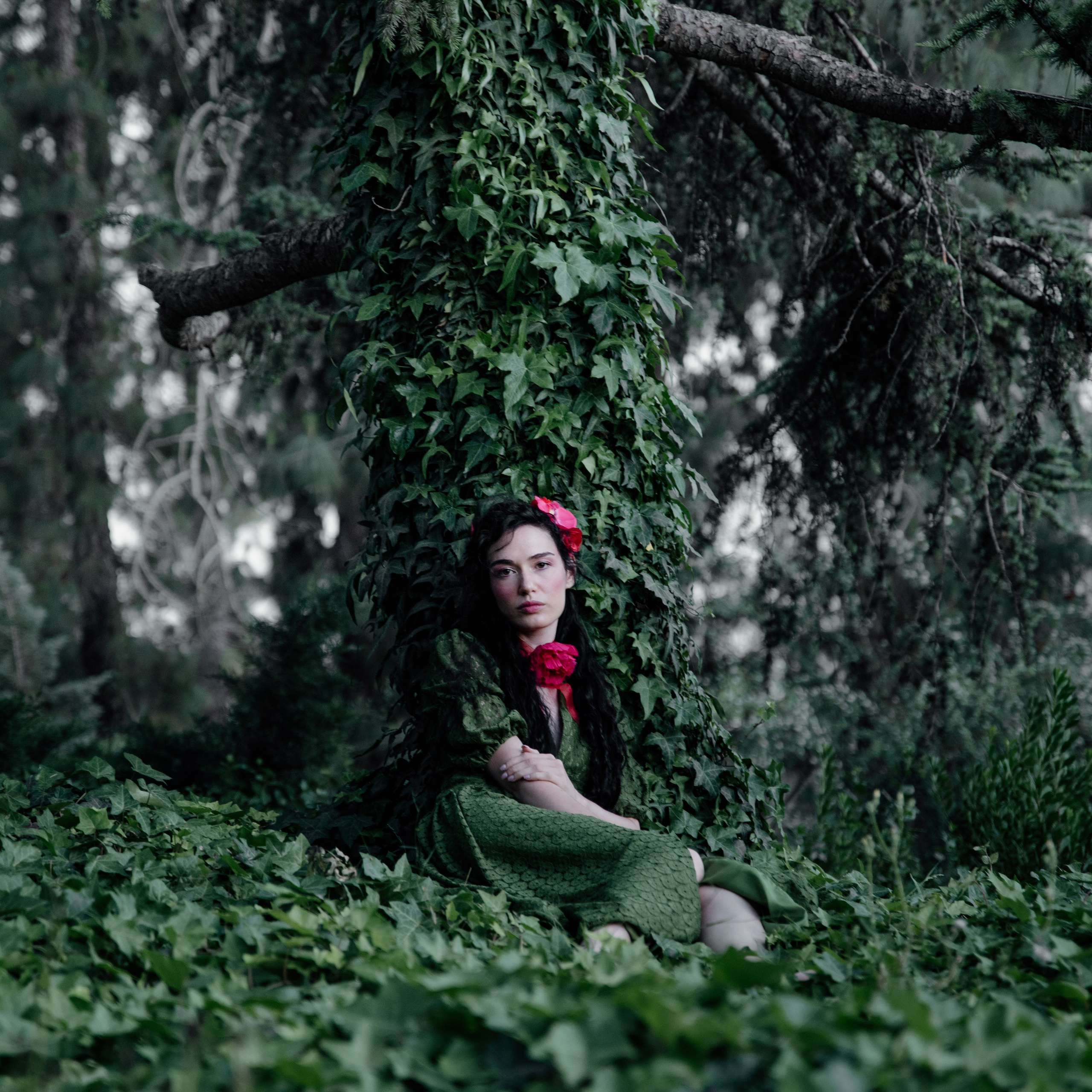 The secret life of dryad