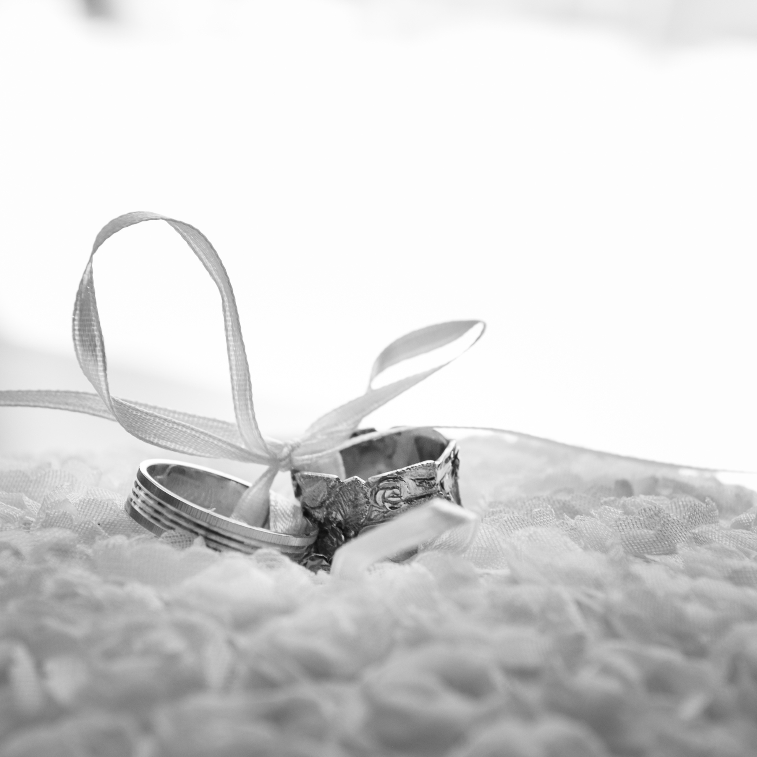 Sabina & Vitya. Photographer in Israel Luba Ternavskaya