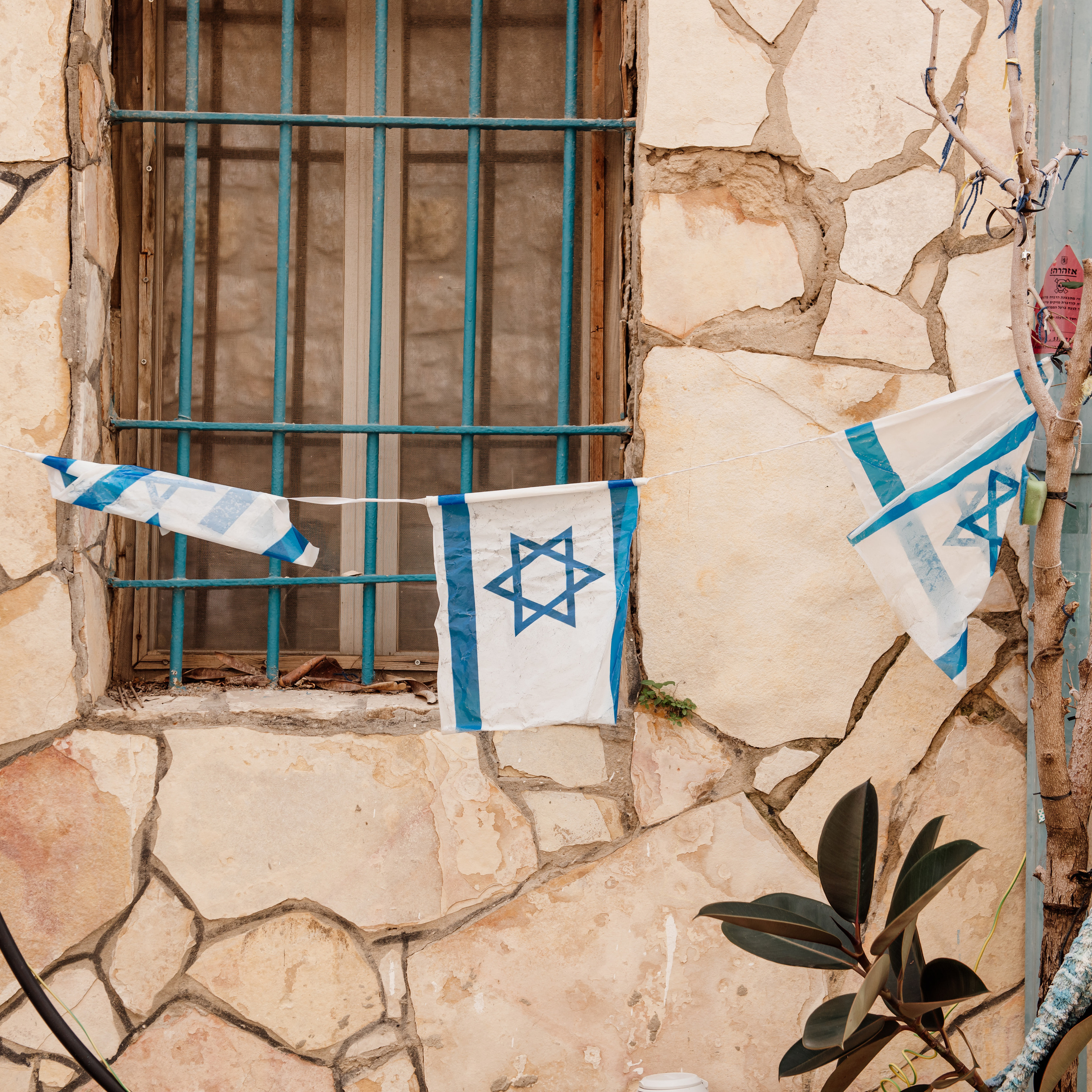 My favorite flag. Photographer in Israel Luba Ternavskaya