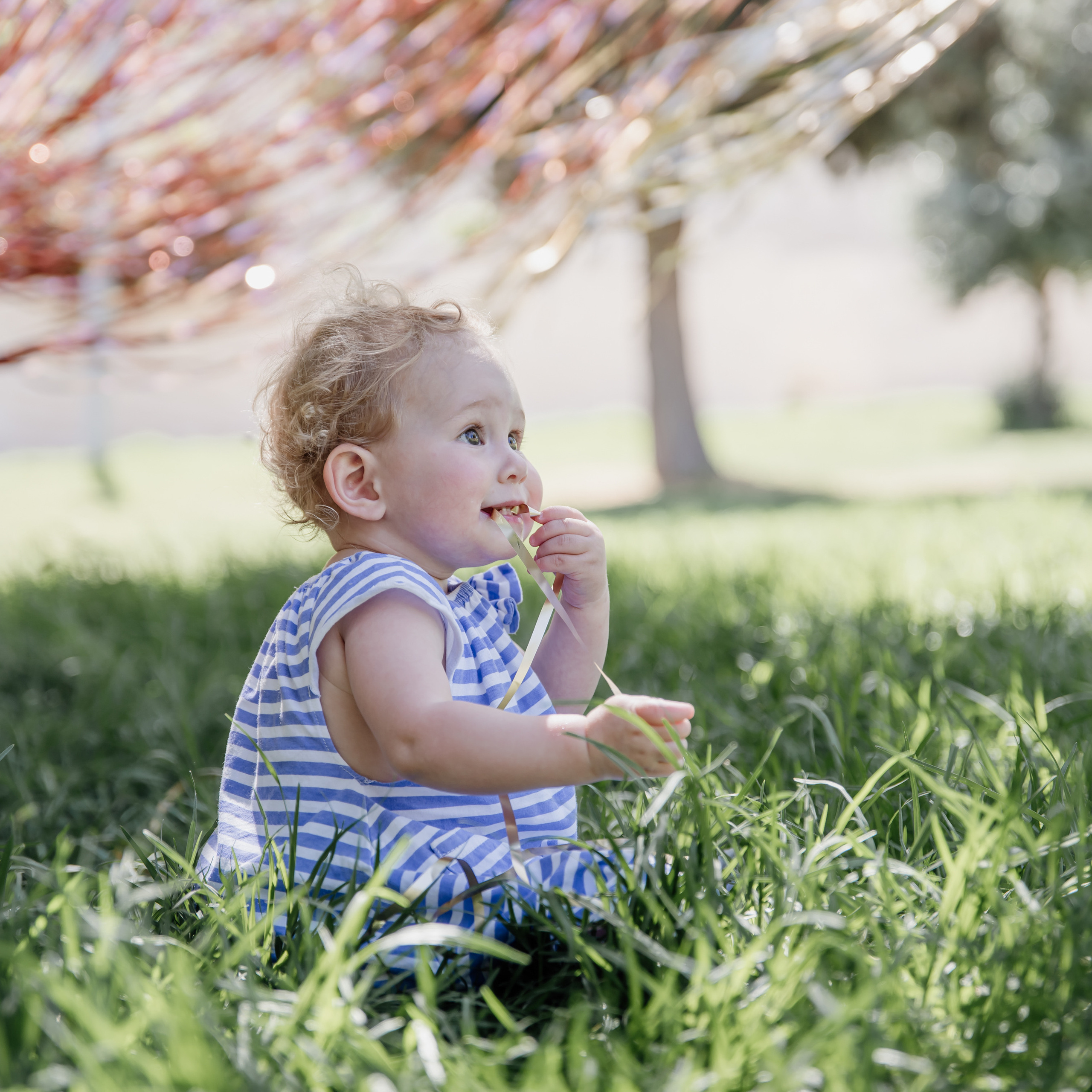 Esti’s birthday 1 year. Photographer in Israel Luba Ternavskaya