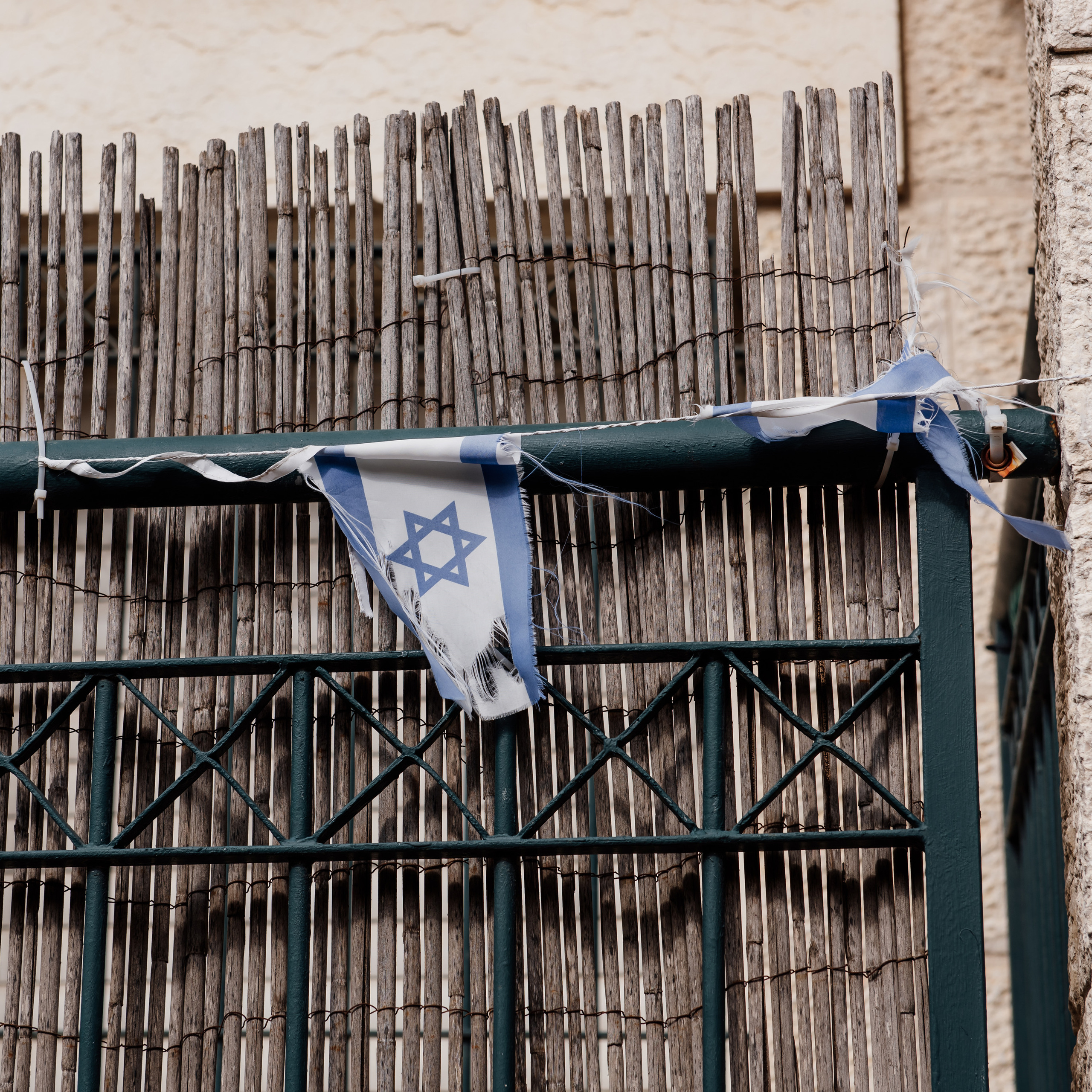 My favorite flag. Photographer in Israel Luba Ternavskaya