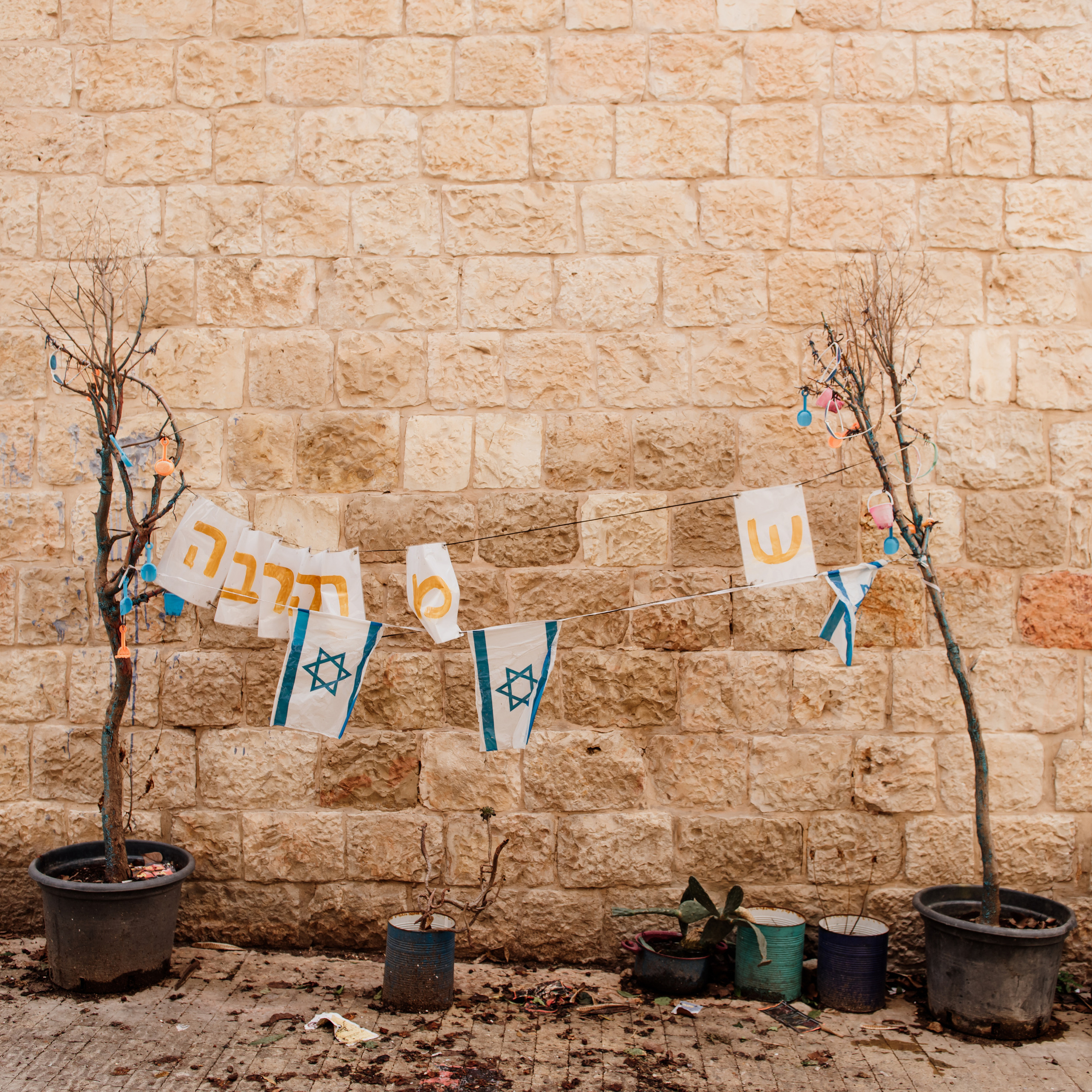 My favorite flag. Photographer in Israel Luba Ternavskaya