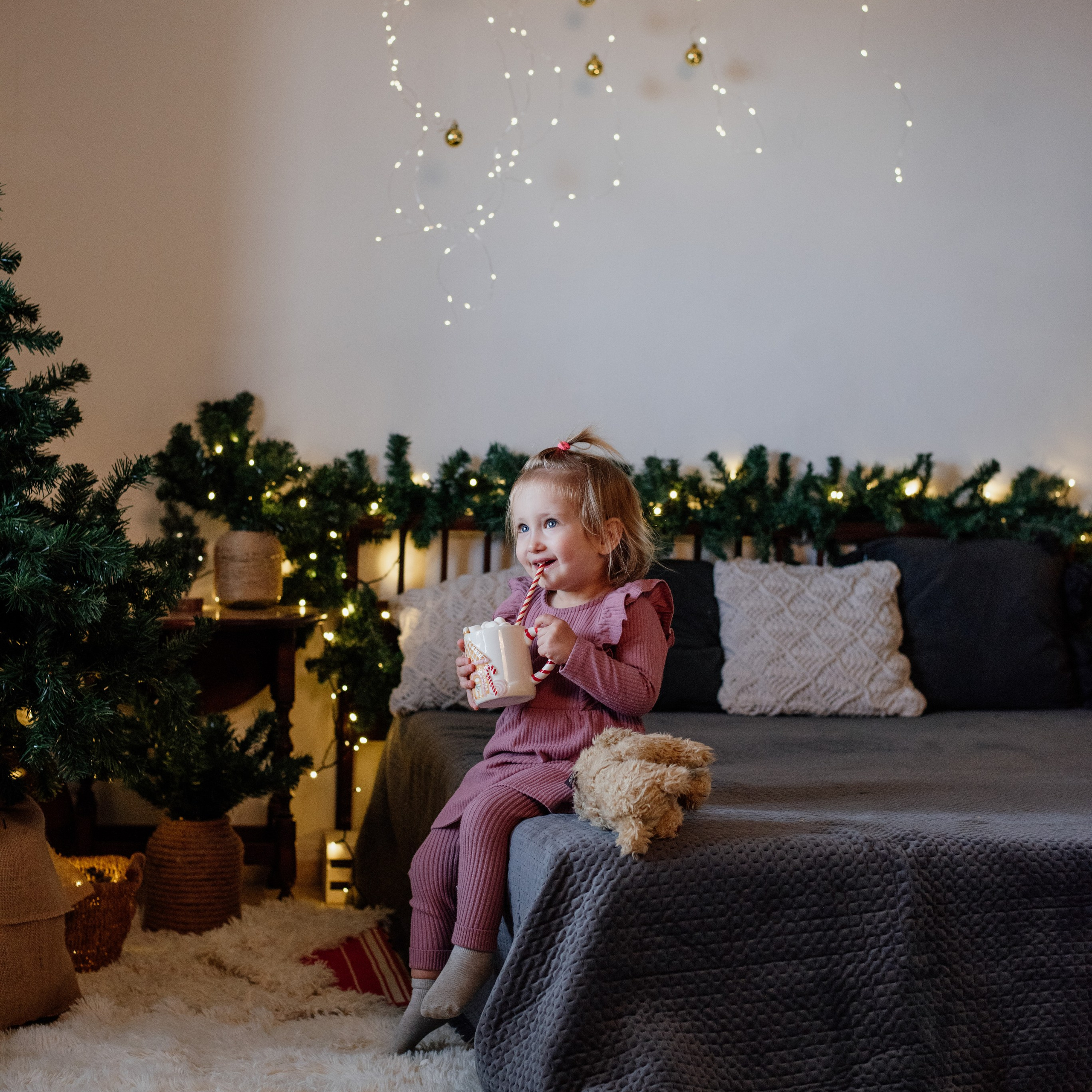 New year photoshoot. Photographer in Israel Luba Ternavskaya