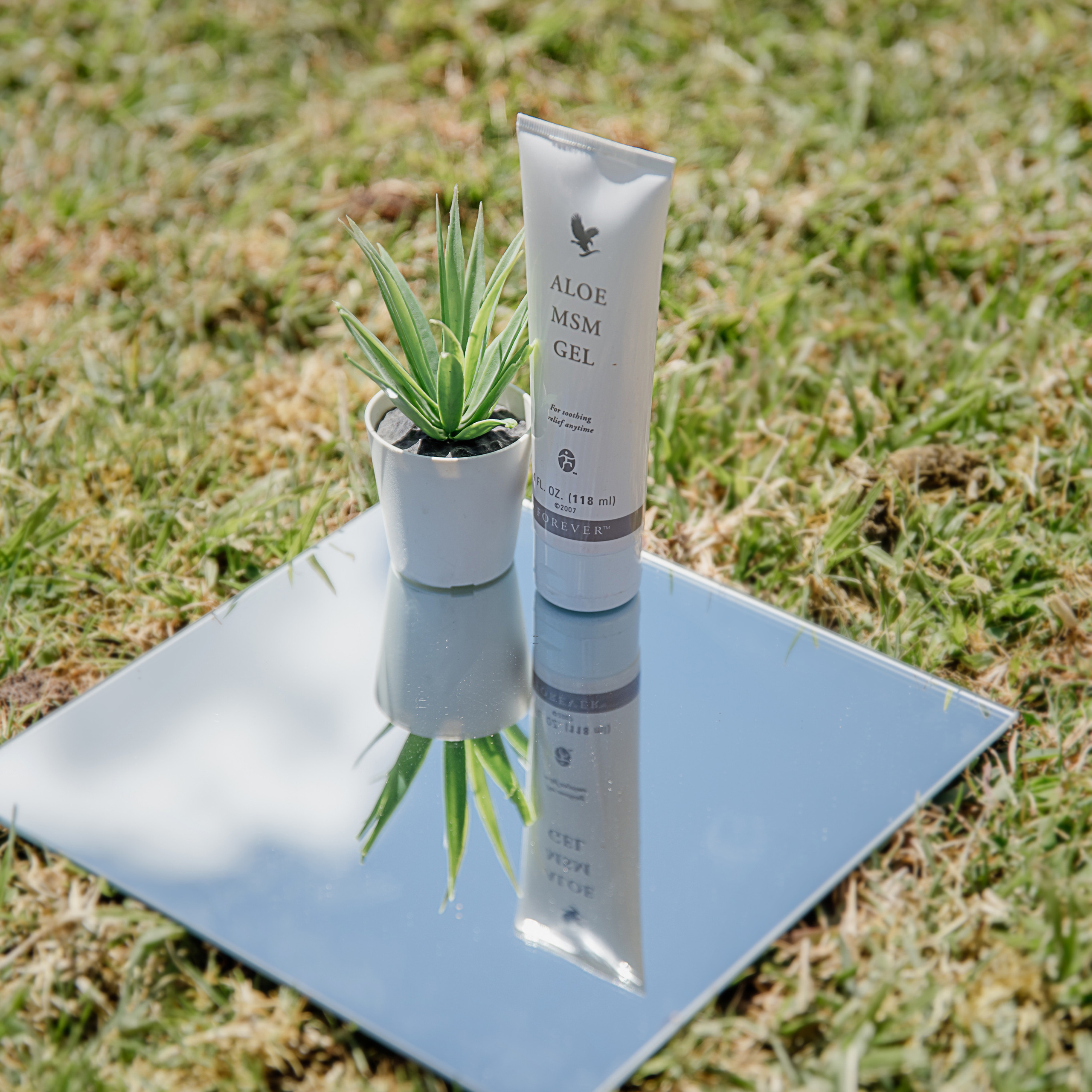 Shooting for a business entrepreneur. צלמת ירושלים תל אביב ישראל