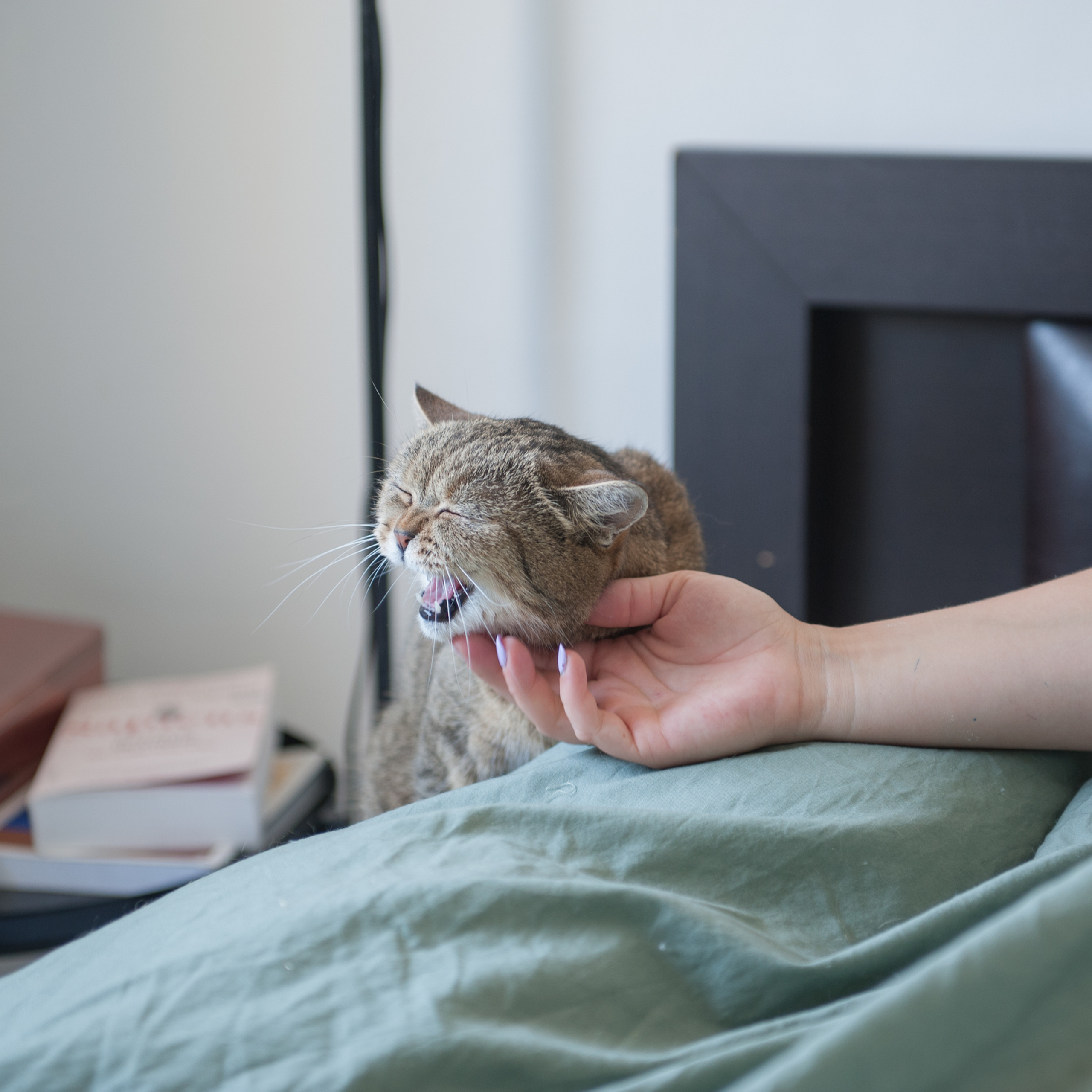 צלמת נתניה. Люба Тернавская. Фотограф Иерусалим. Фотограф Израиль