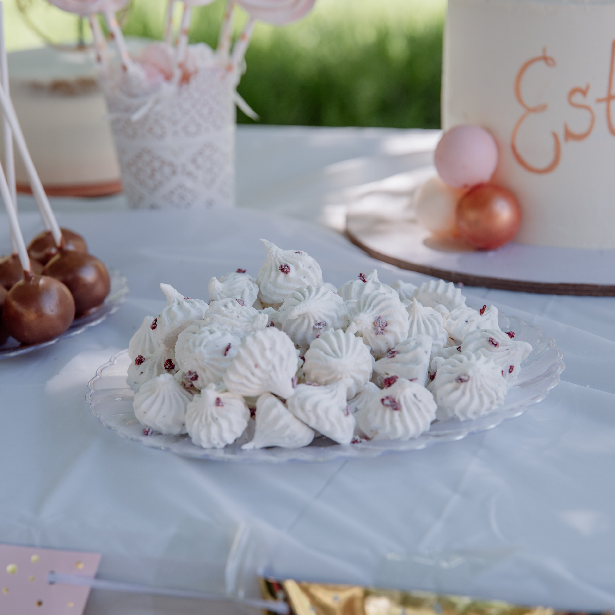 Esti’s birthday 1 year. Photographer in Israel Luba Ternavskaya