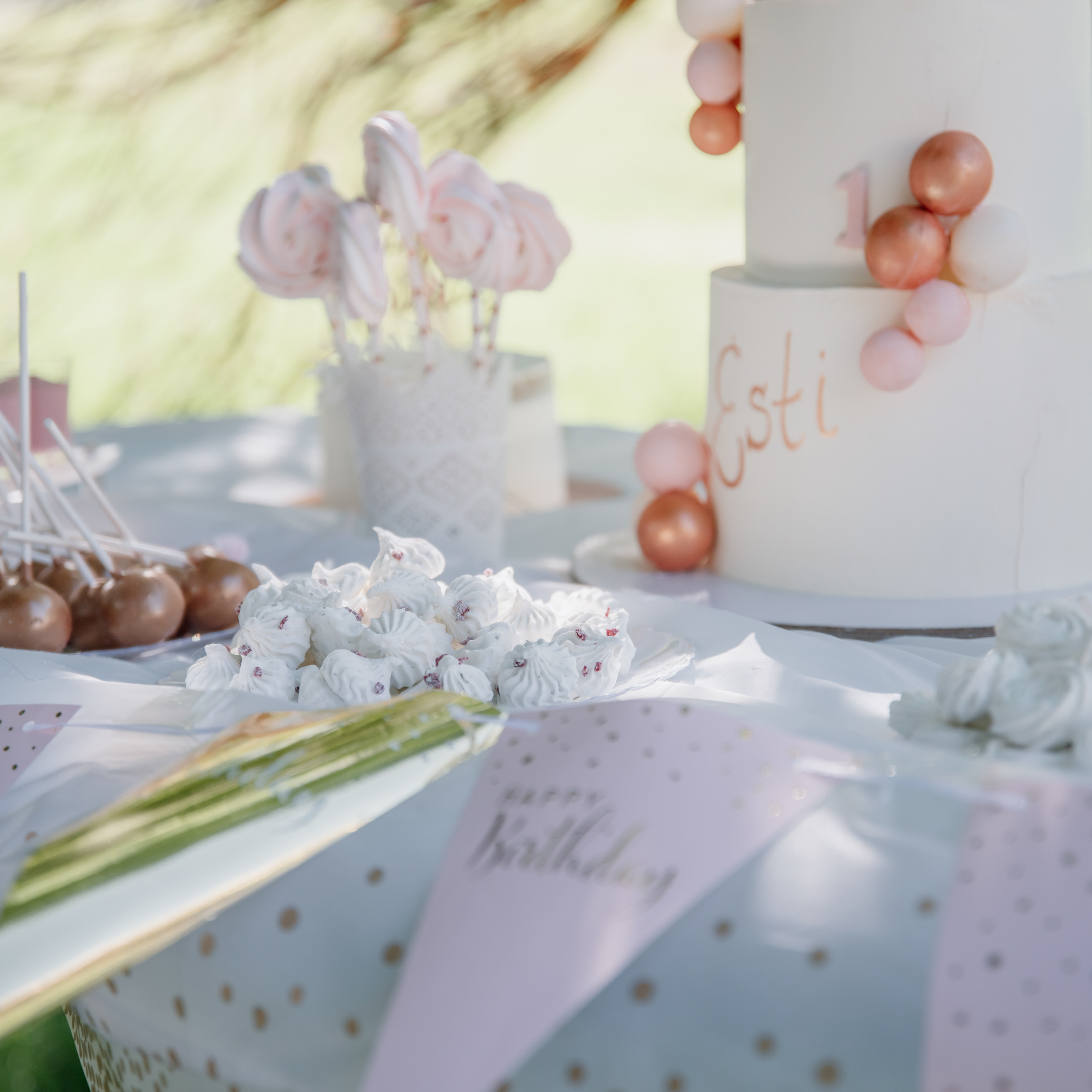 Esti’s birthday 1 year. Photographer in Israel Luba Ternavskaya