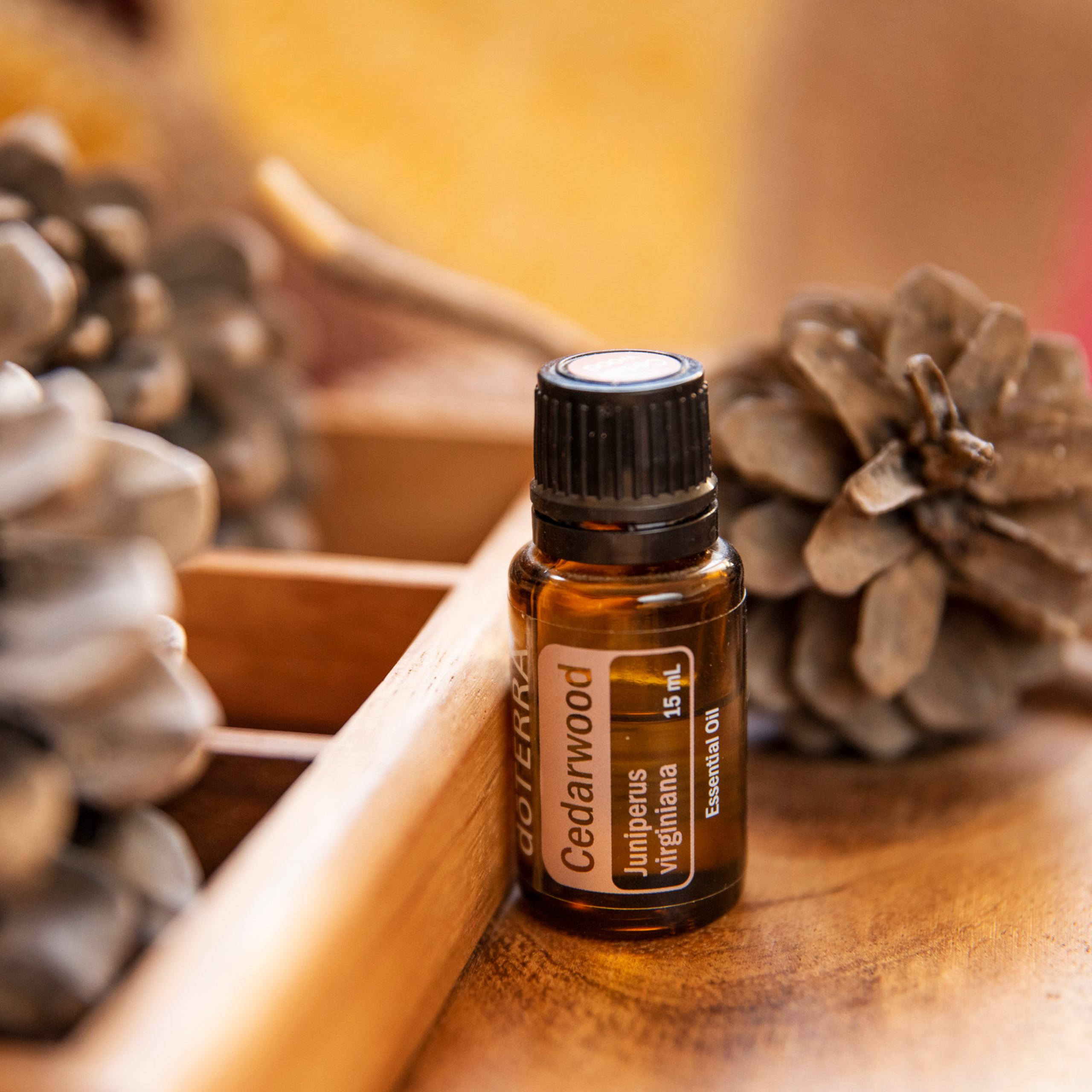 Object shooting. צלמת ירושלים תל אביב ישראל