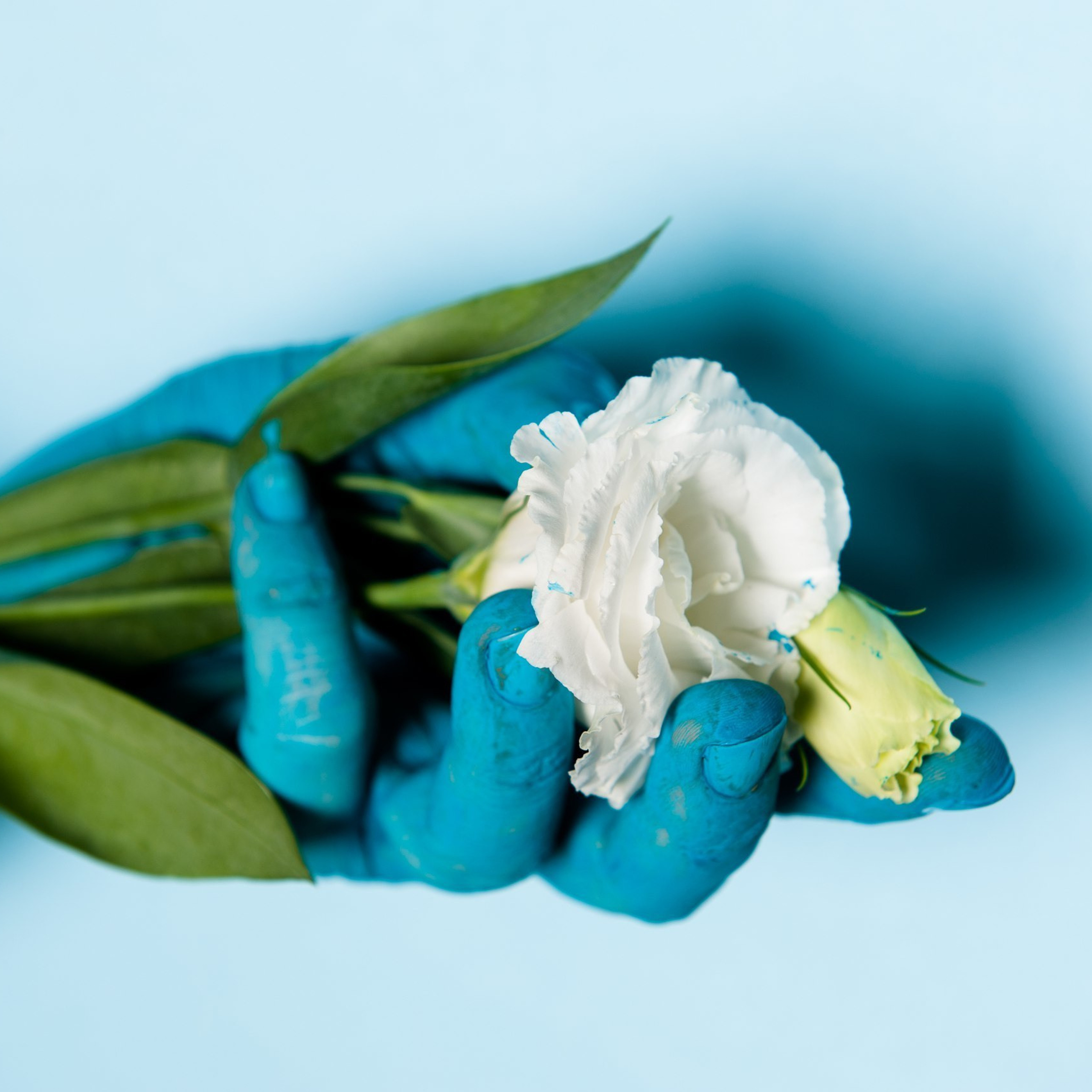 Photographer in Israel Luba Ternavskaya