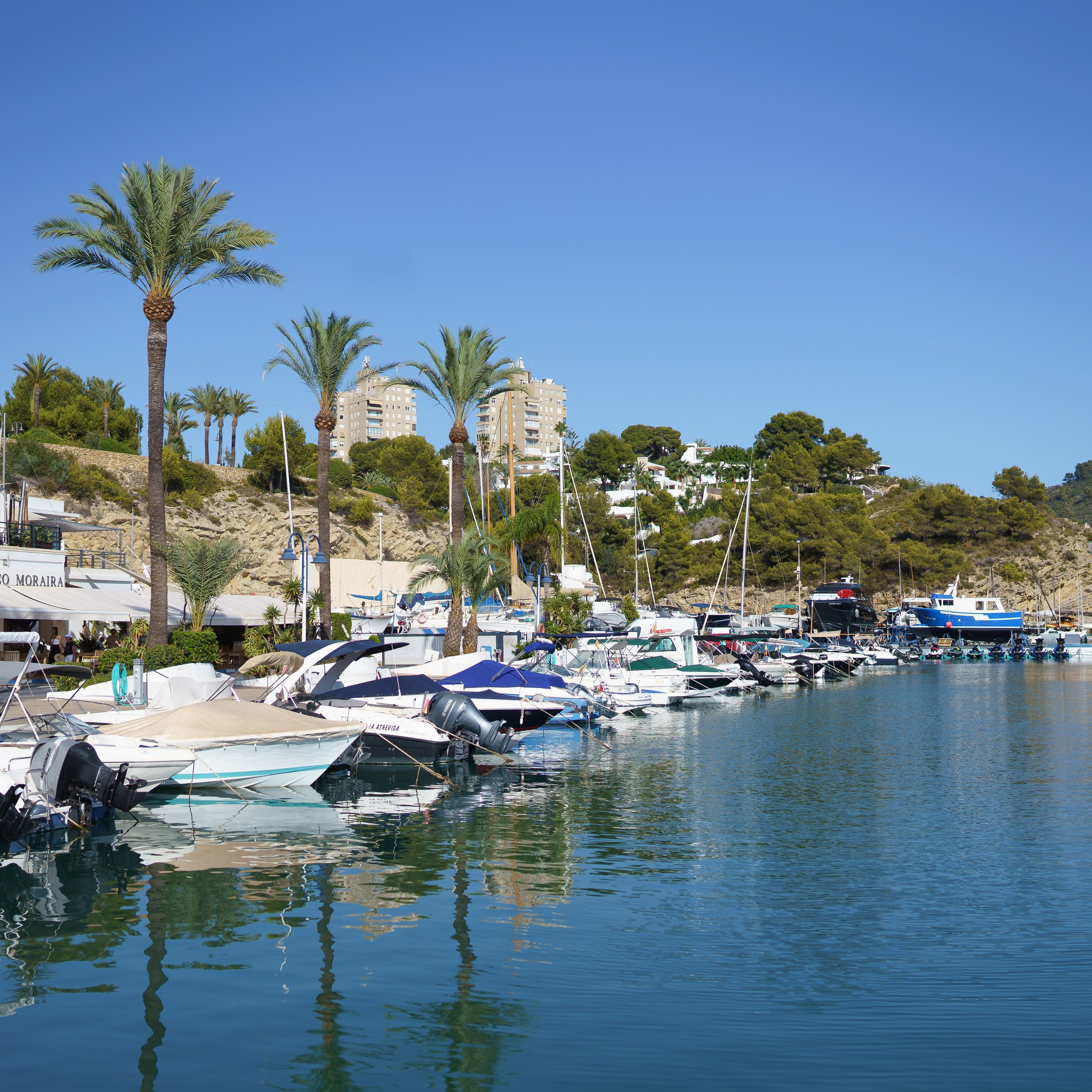 Отзывы. Стильный женский фотограф /фототерапевт в Киеве Юрченко Оксана