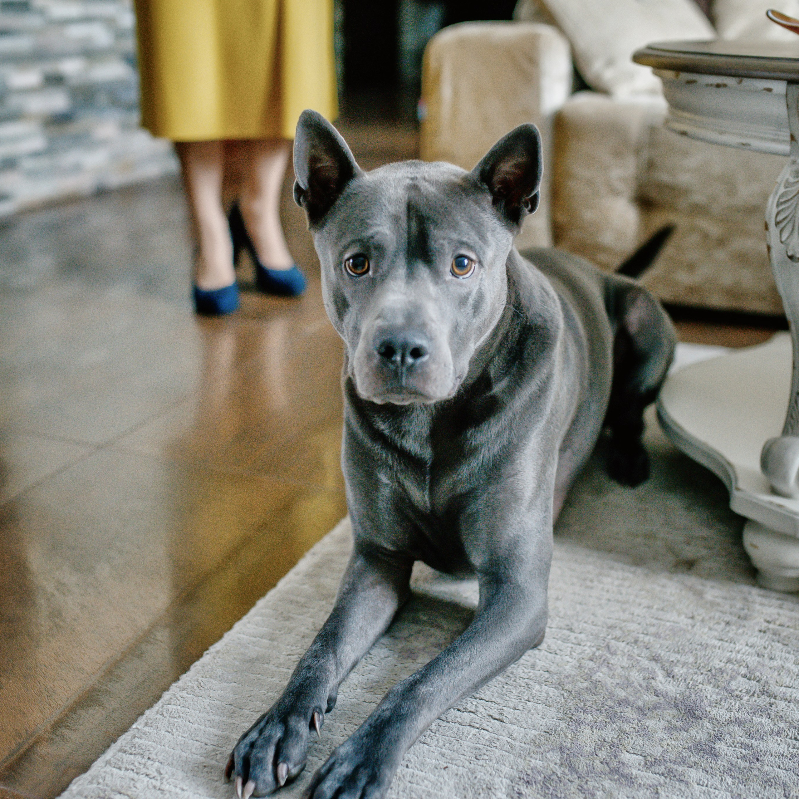 Отзывы. Pere- ja lastefotograaf Eestis (Pärnu, Tallinn)