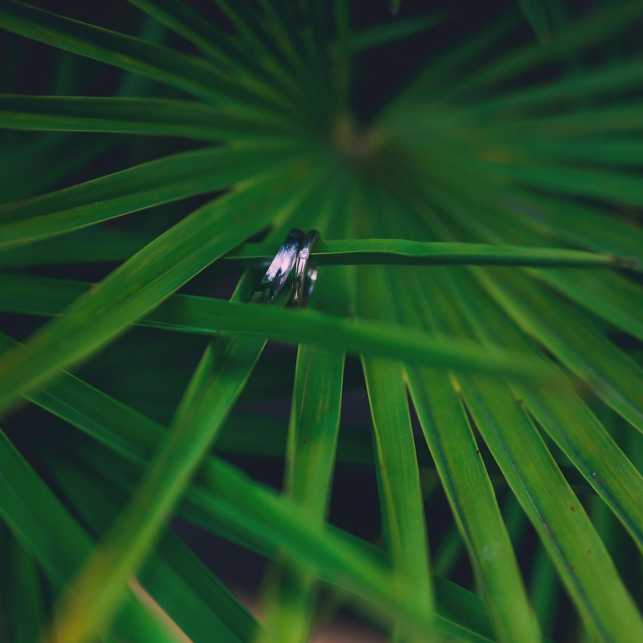 Testimonials. Family and wedding photographer in Norway Bublik Polina