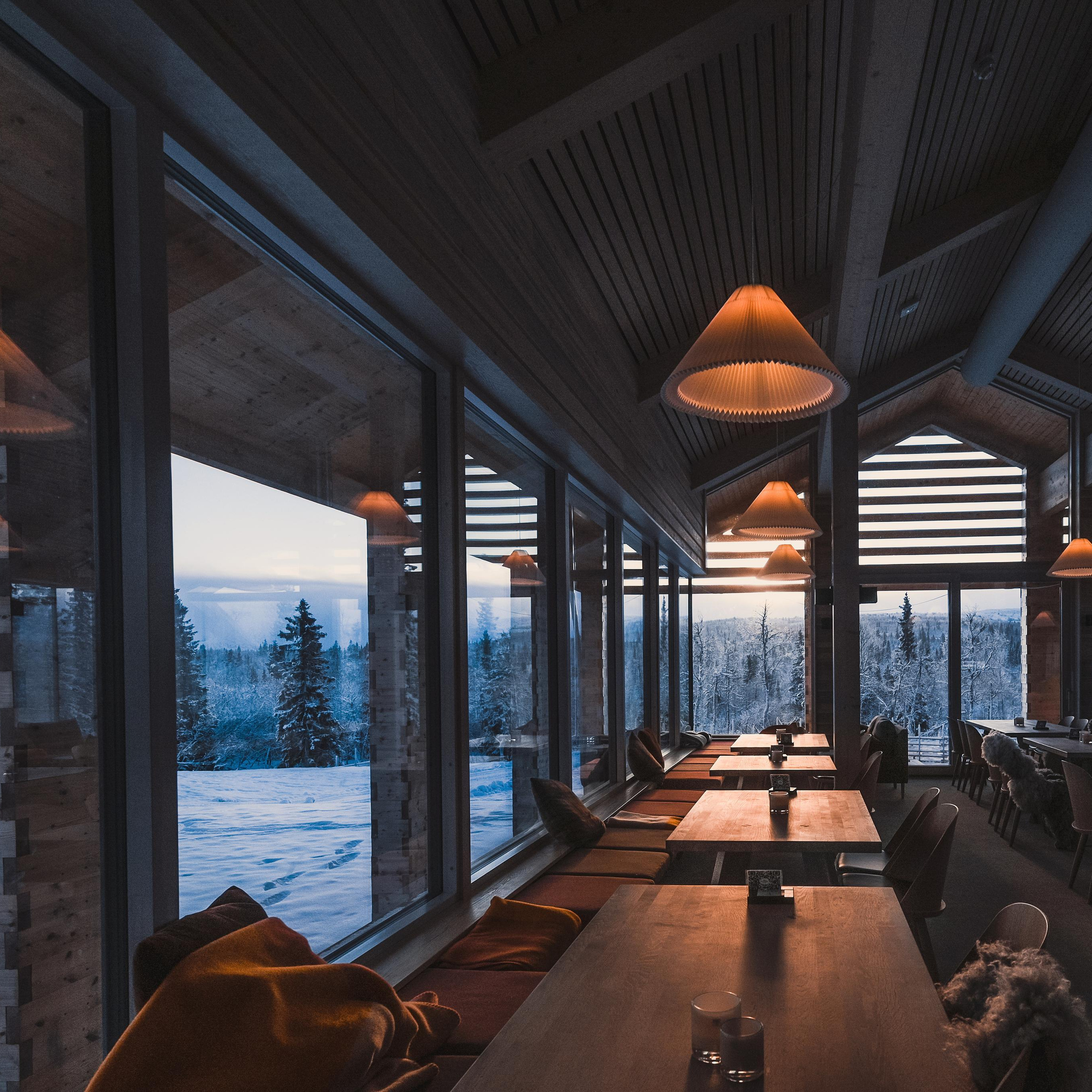 Testimonials. Family and wedding photographer in Norway Bublik Polina