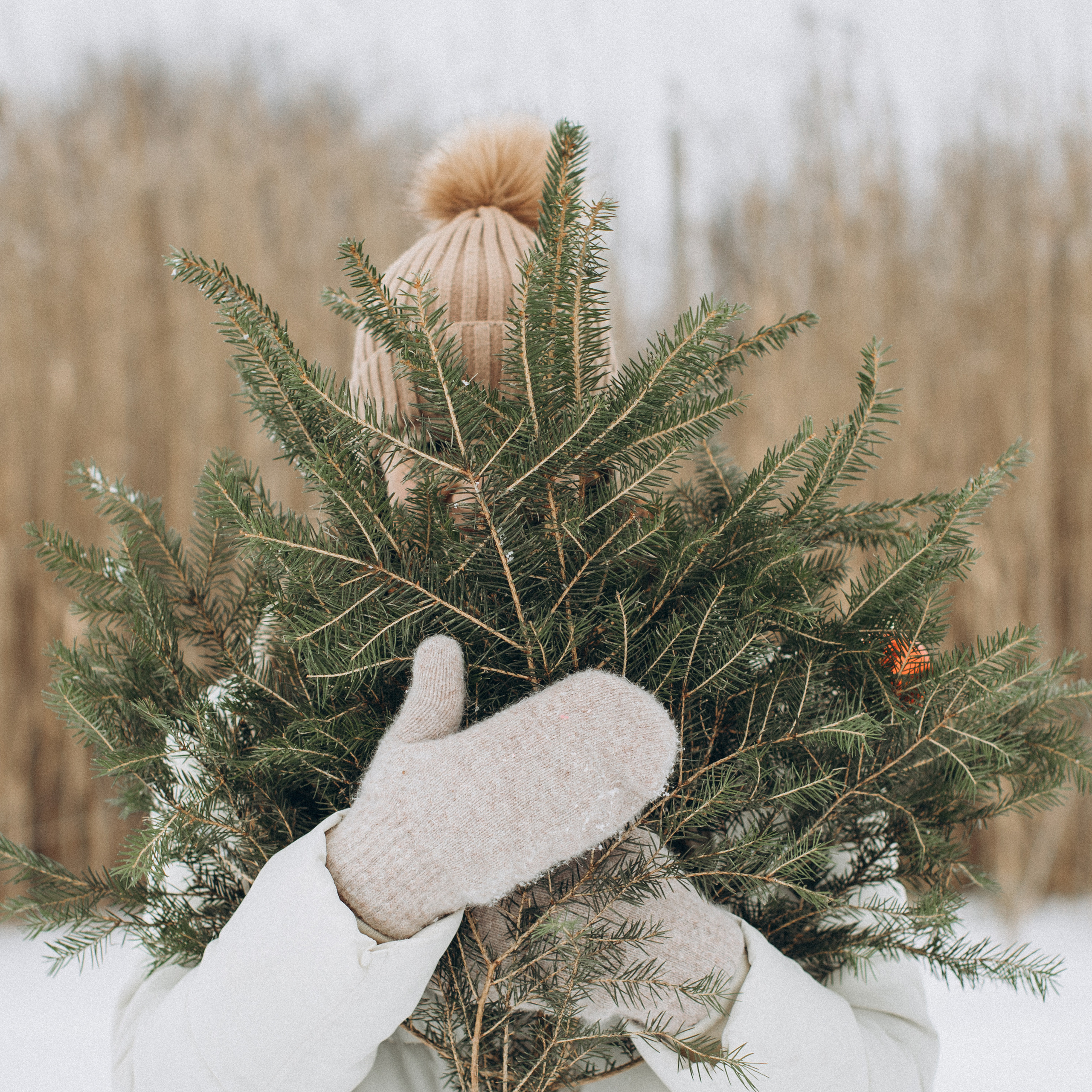 Завтра Новий Рік