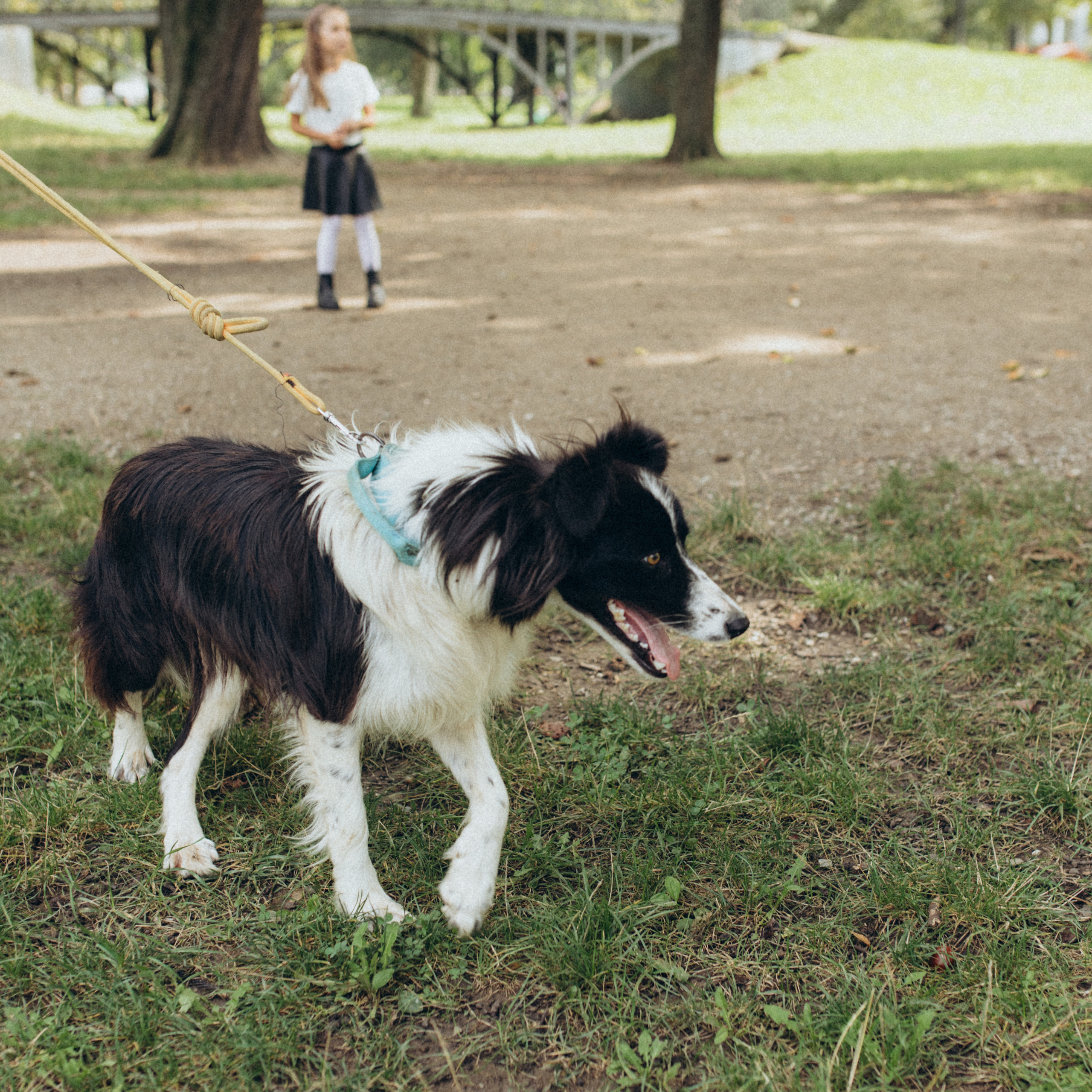 Reviews. Wedding and family photographer in Calgary