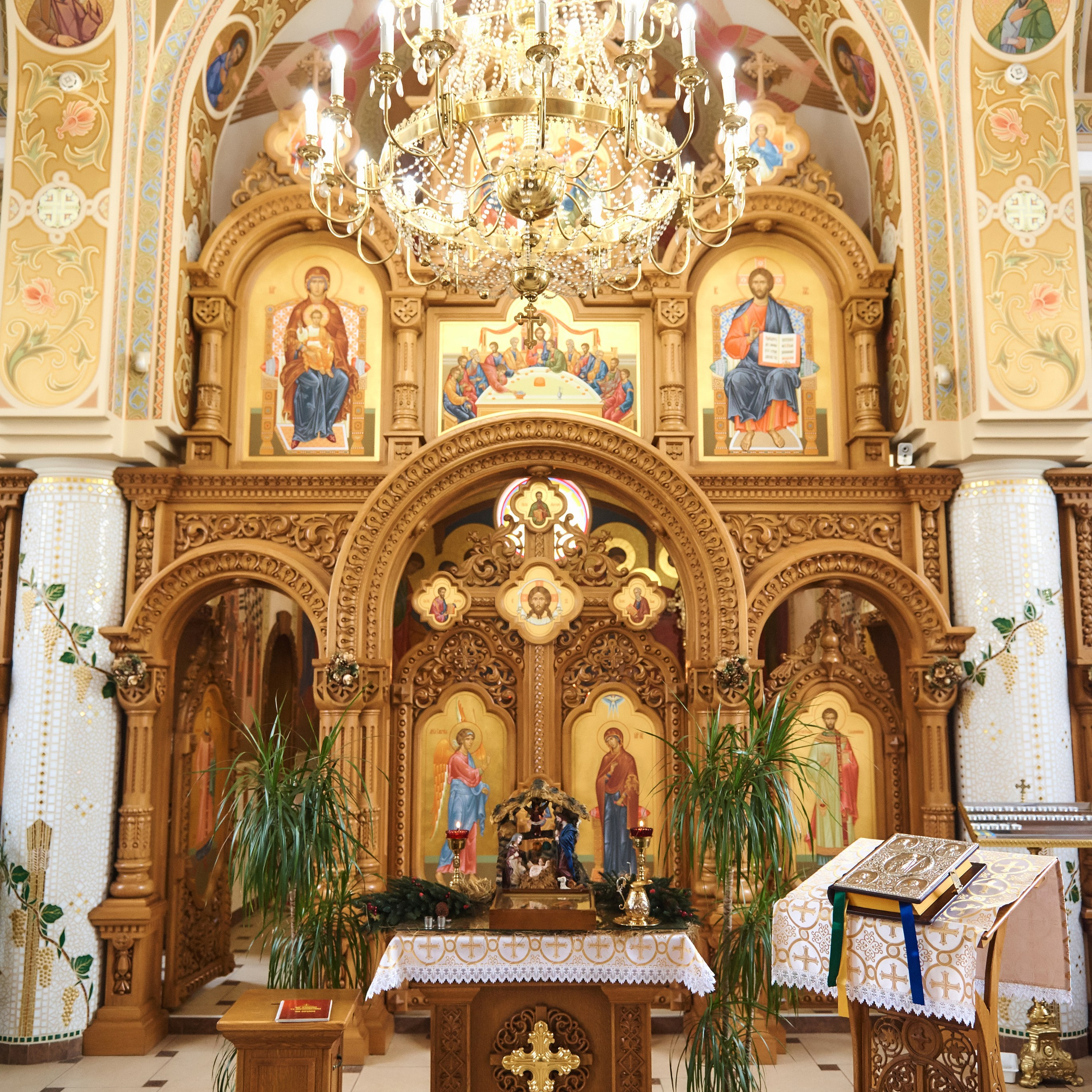 Відгуки. Фотограф новонароджених діток та їх сімей в Тернополі