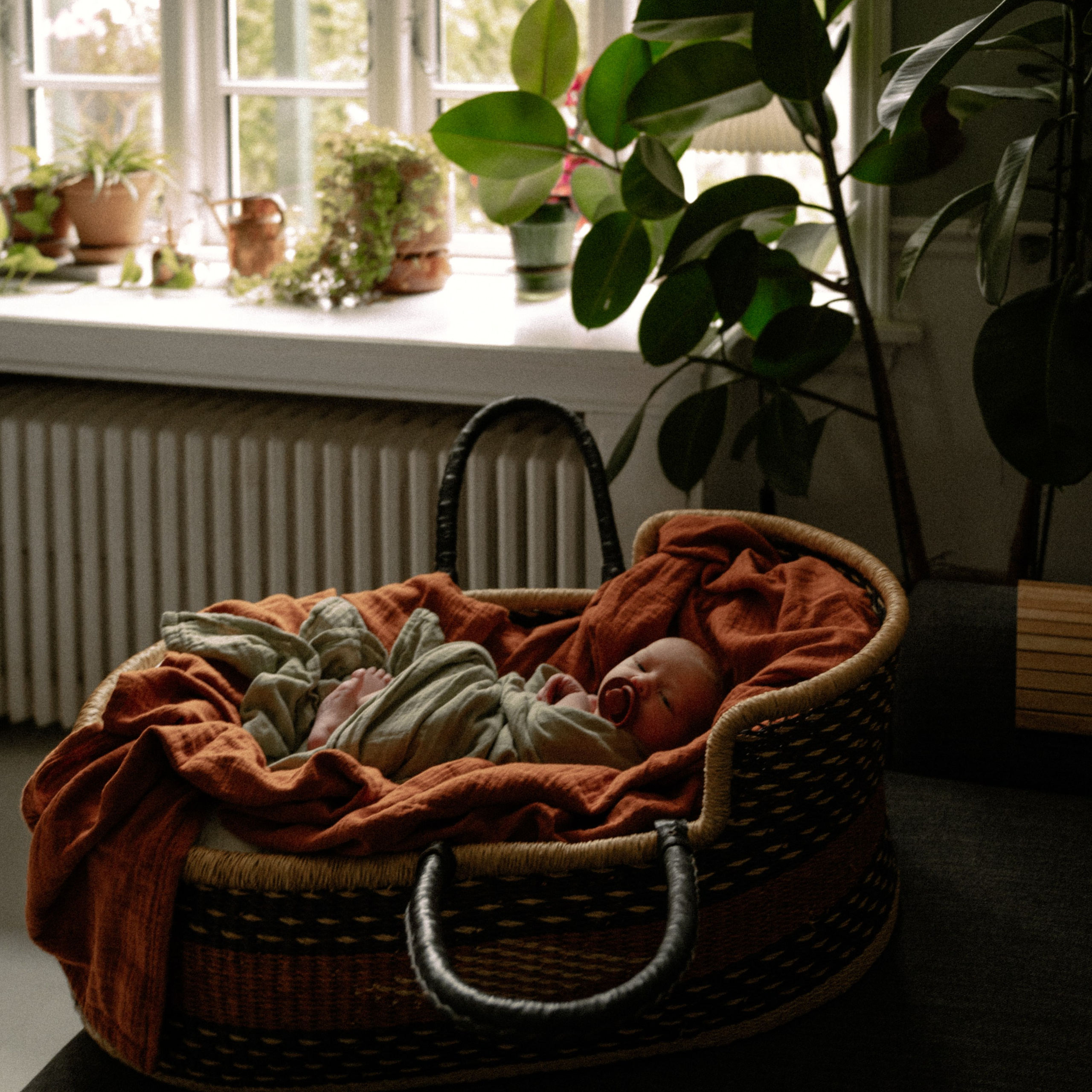 NEWBORN. Newborn, Family, Wedding photographer Copenhagen Anastasiia Sevriukova