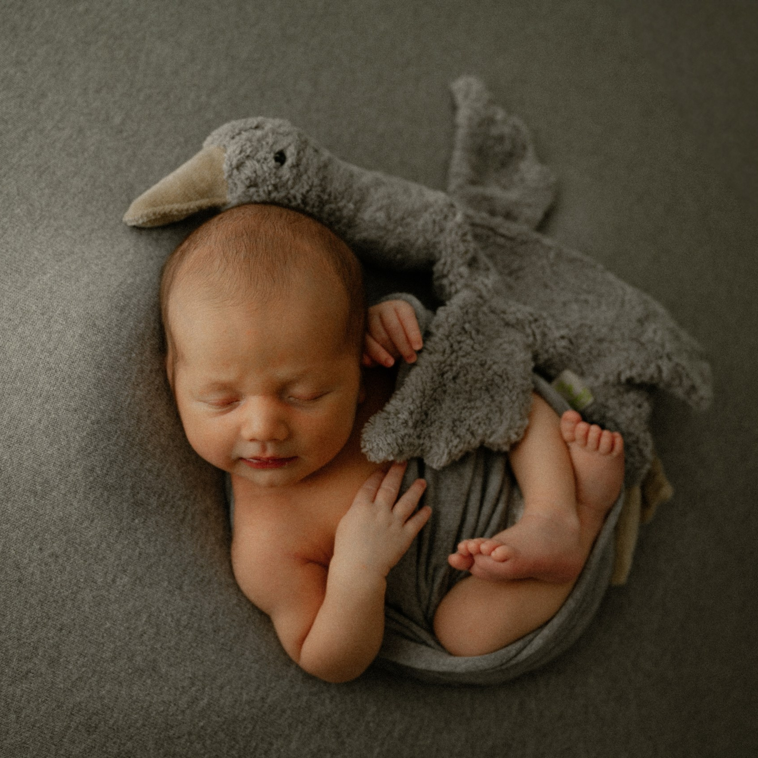 NEWBORN. Newborn, Family, Wedding photographer Copenhagen Anastasiia Sevriukova