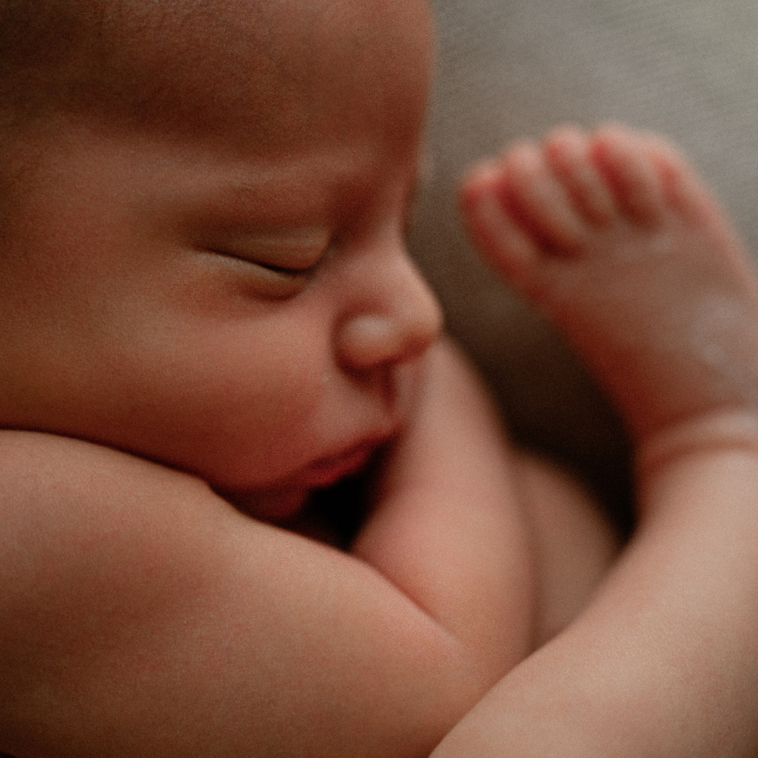 FEEDBACK. Newborn, Family, Wedding photographer Copenhagen Anastasiia Sevriukova