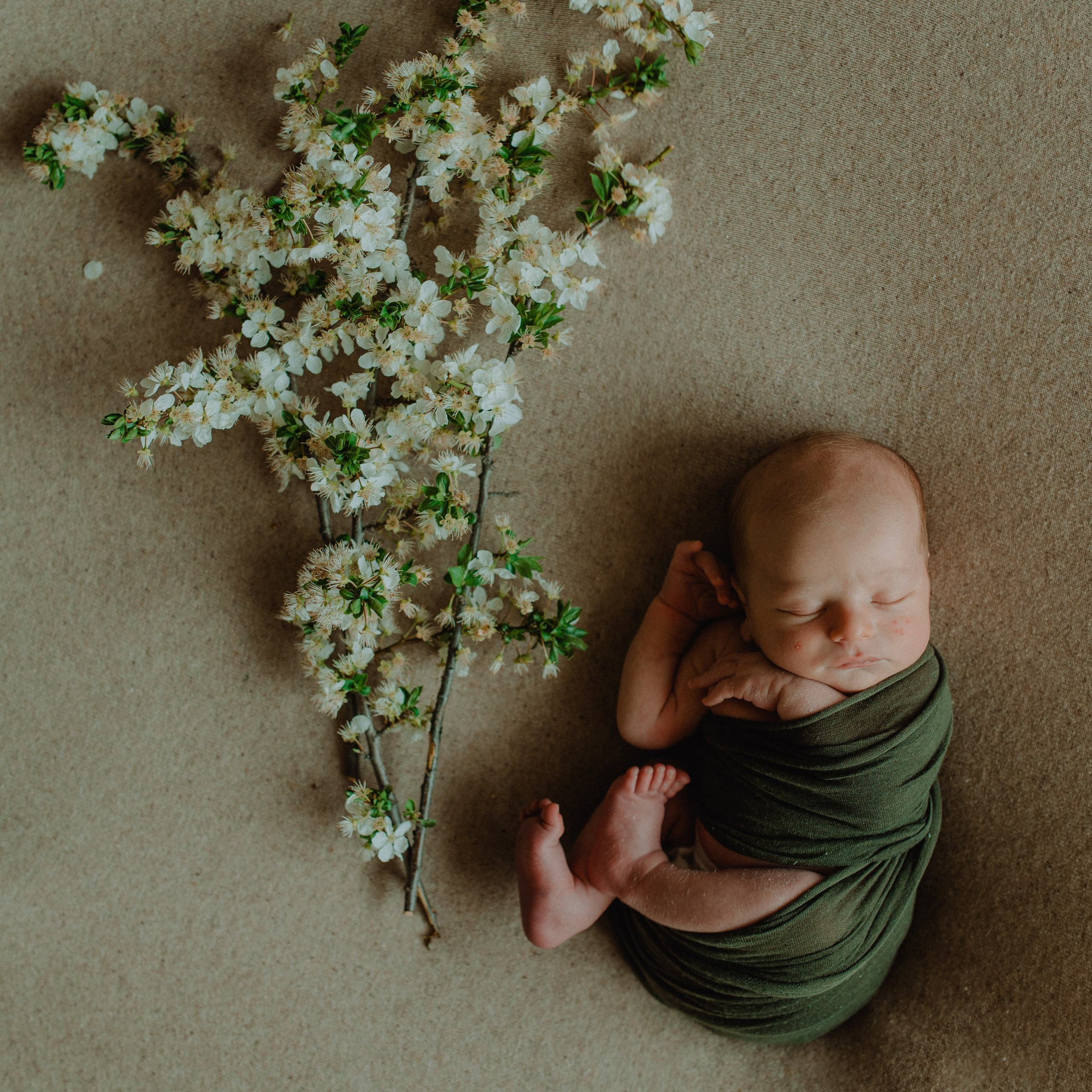 FEEDBACK. Newborn, Family, Wedding photographer Copenhagen Anastasiia Sevriukova