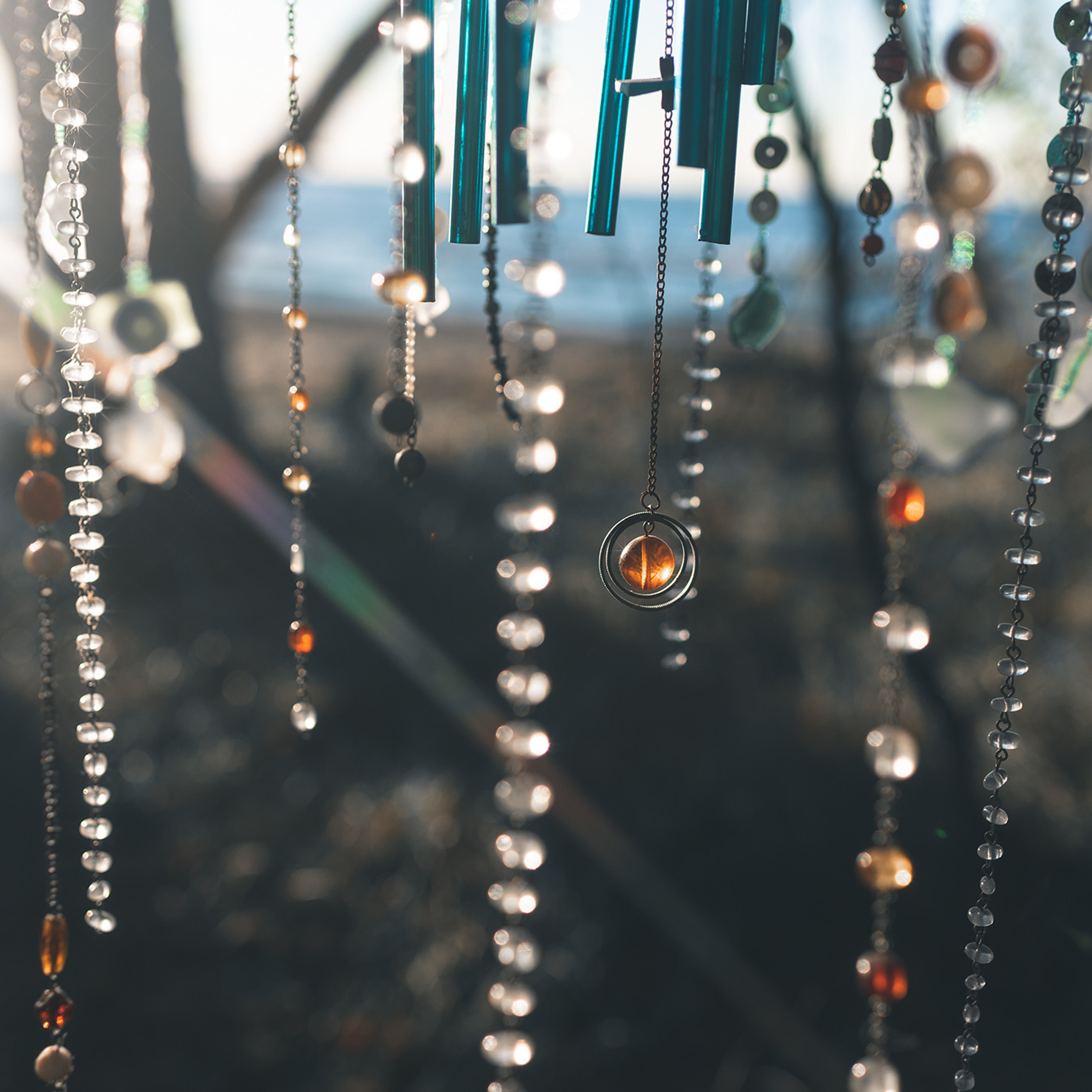 Feedback. Product and Food photography