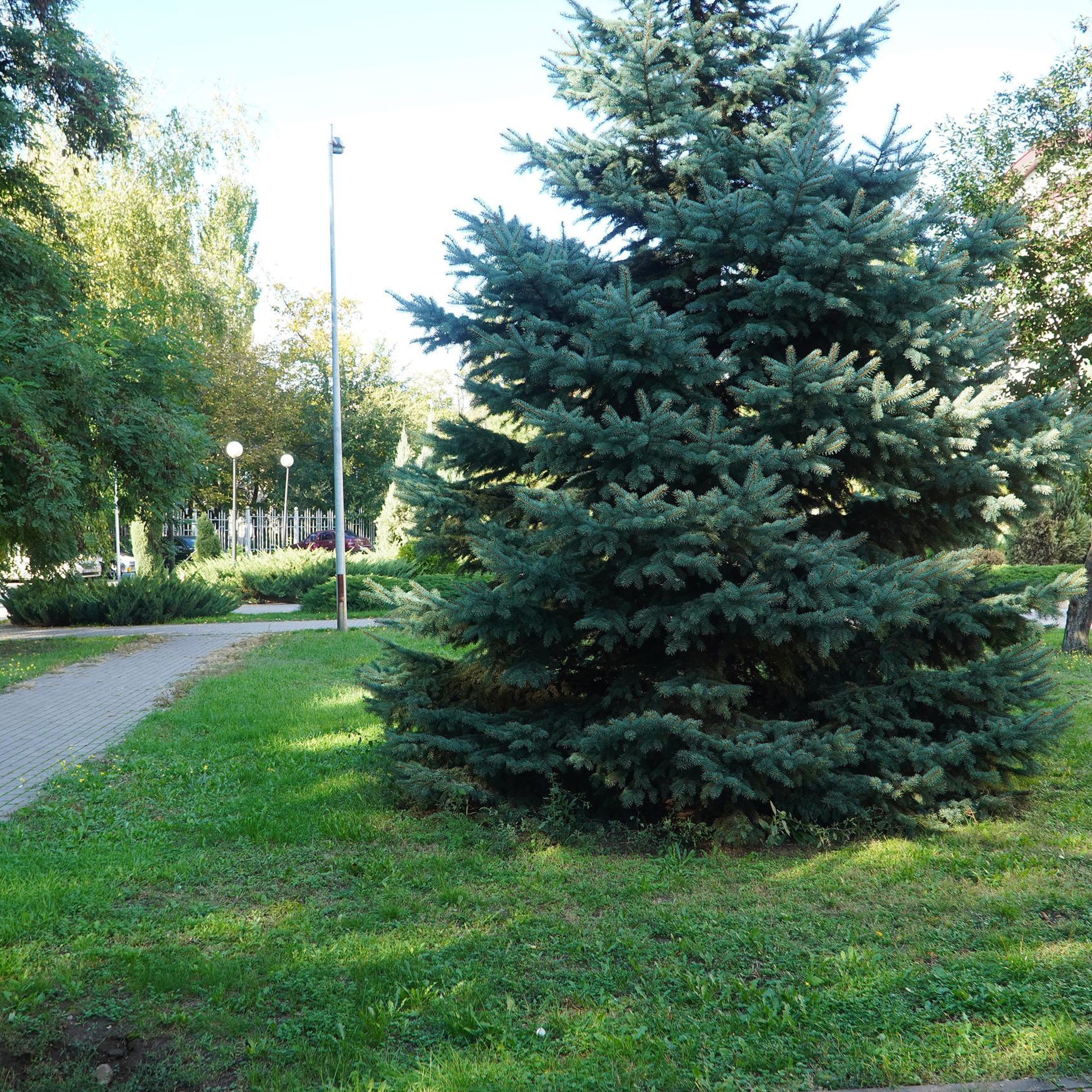 Отзывы. Фотограф Запорожье Лана Рудай