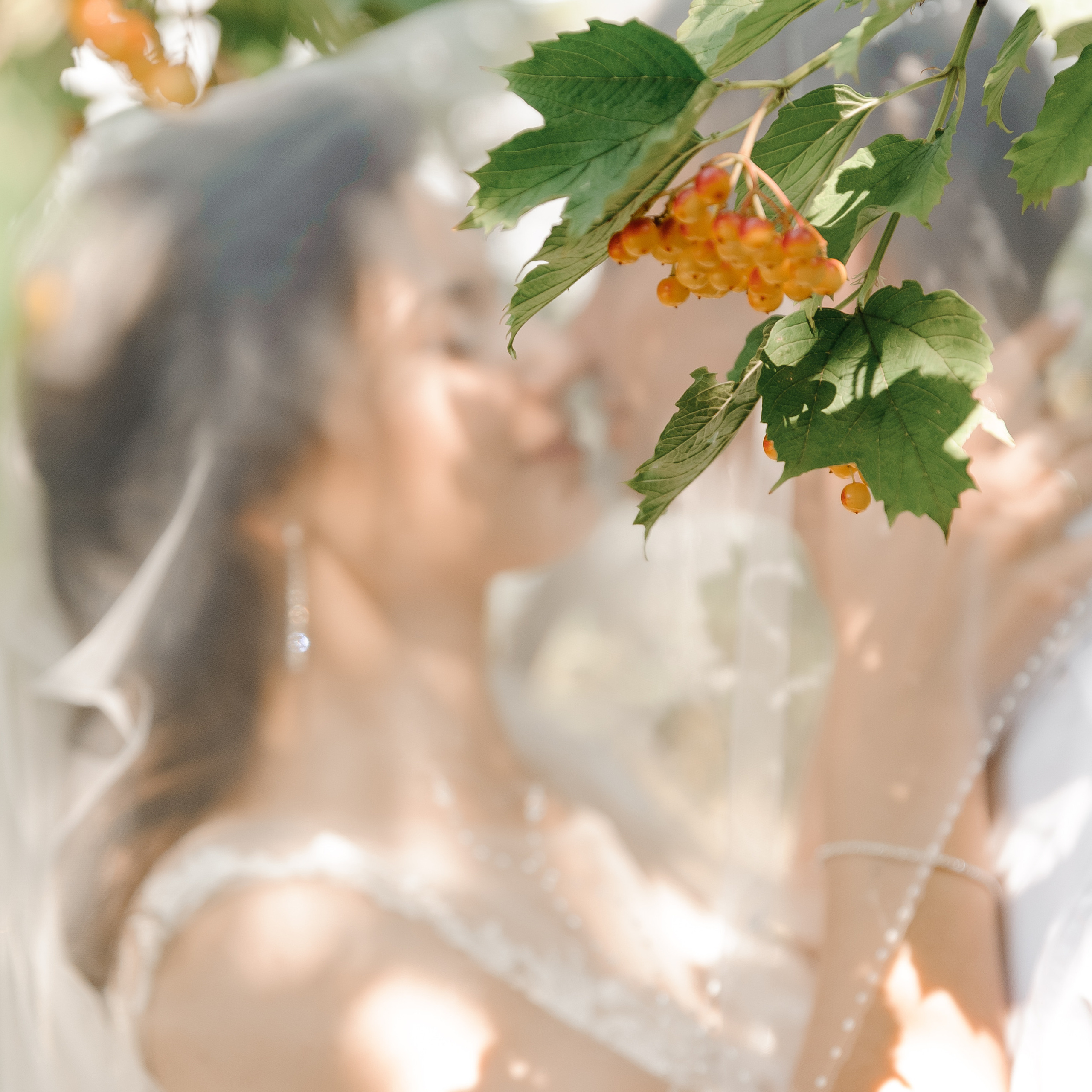 Відгуки. Фотограф — Юрій Носач