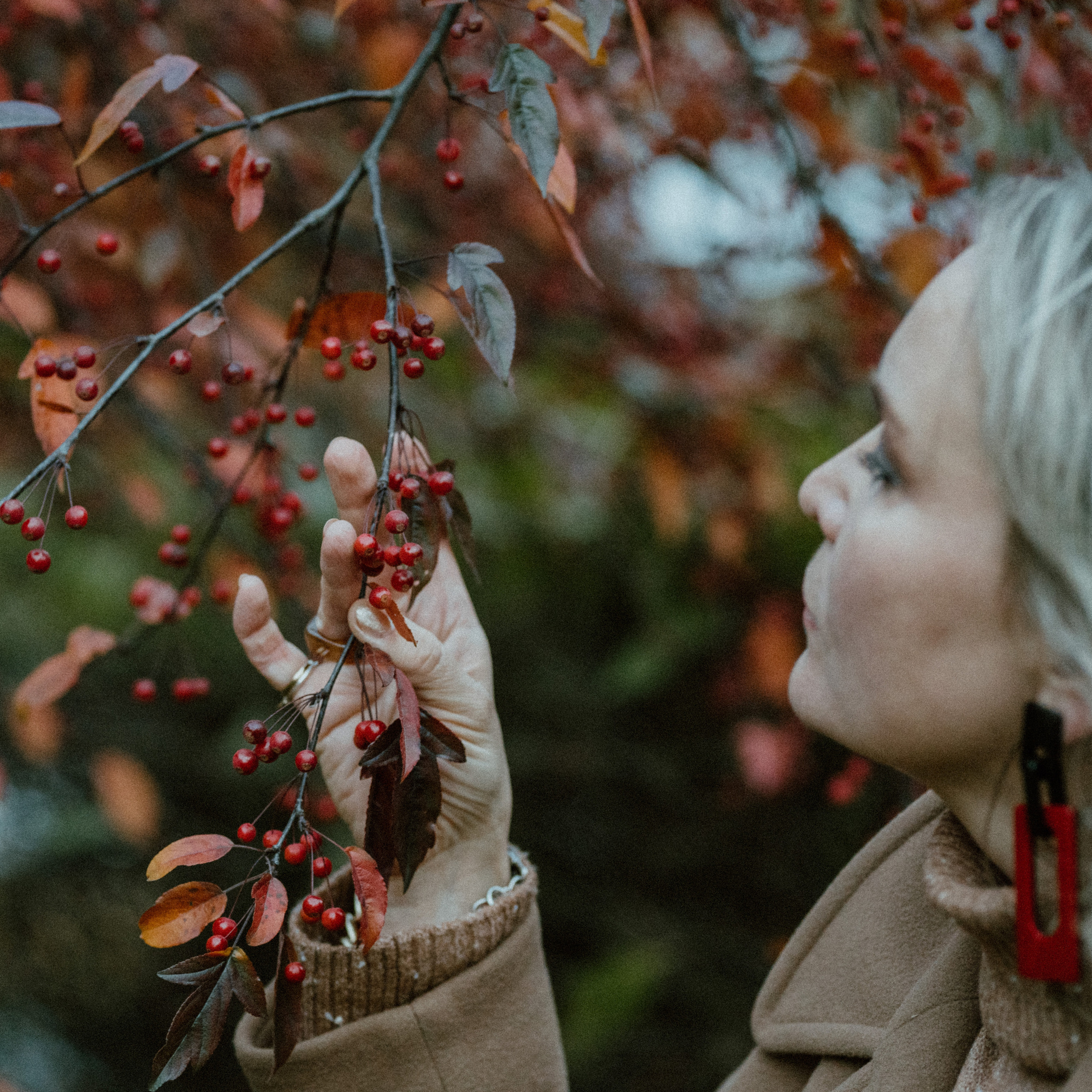 Arvustused. Pulmafotograaf ja videograaf Eestis, Tallinn